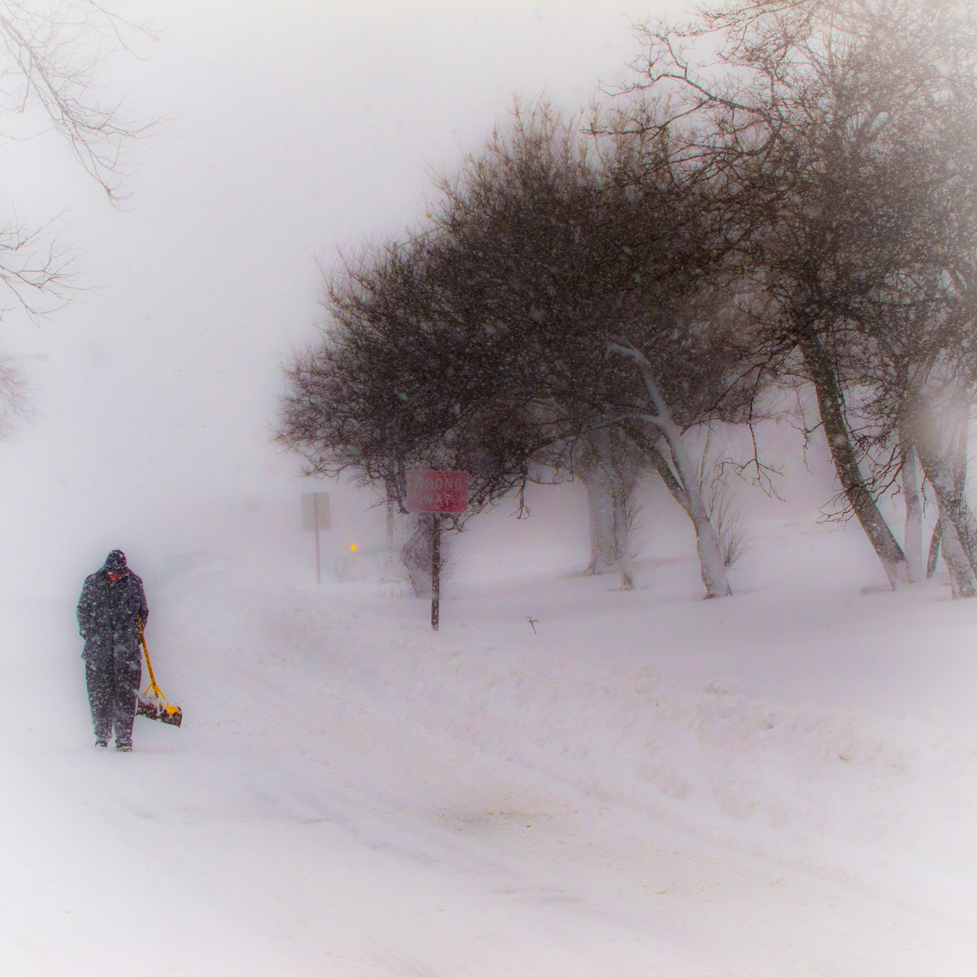 Groundhog Day Blizzard, Chicago lakefront