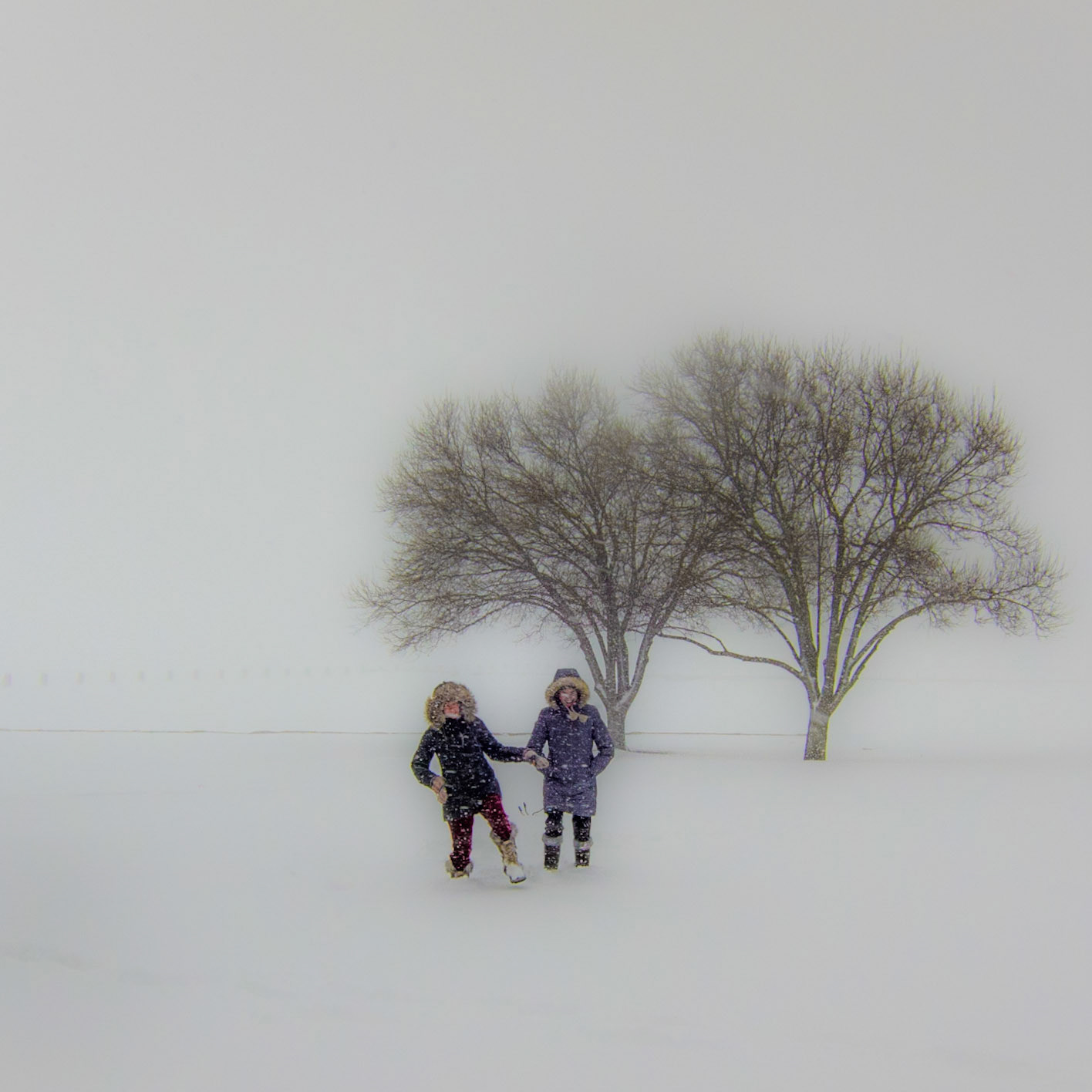 Groundhog Day Blizzard, Chicago lakefront