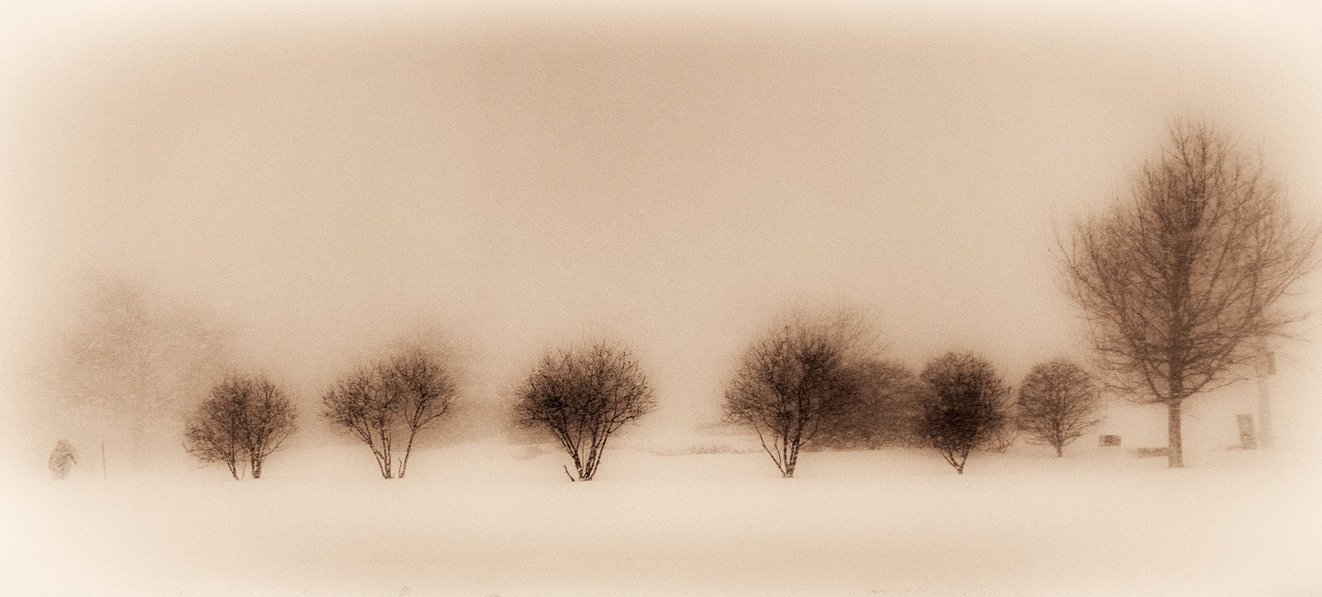 Groundhog Day Blizzard, Chicago lakefront