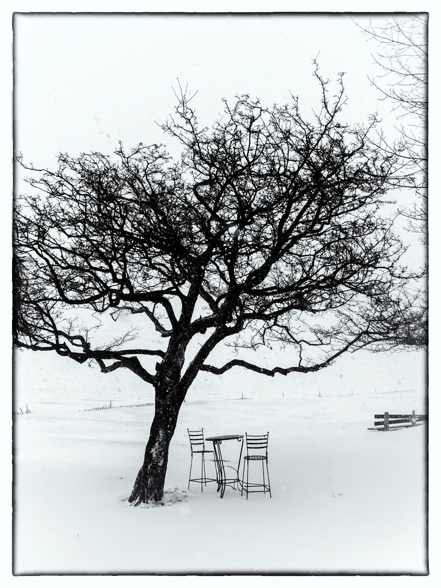 Groundhog Day Blizzard, Chicago lakefront