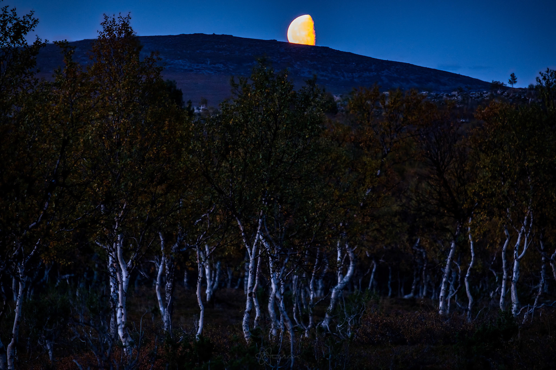 Muotkatunturi Wilderness Area