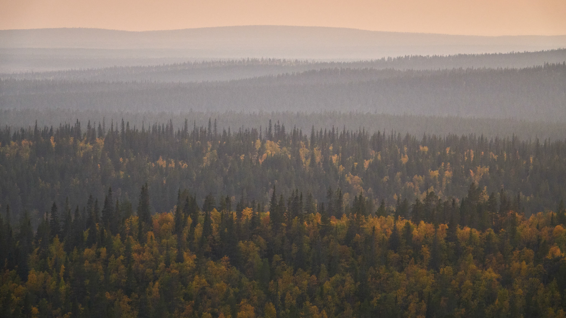 UKK National Park II