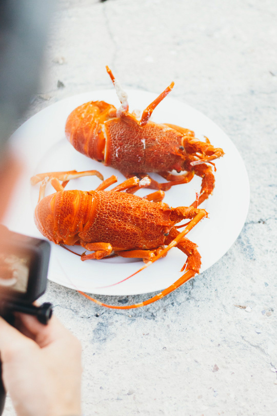 West Coast Crayfish