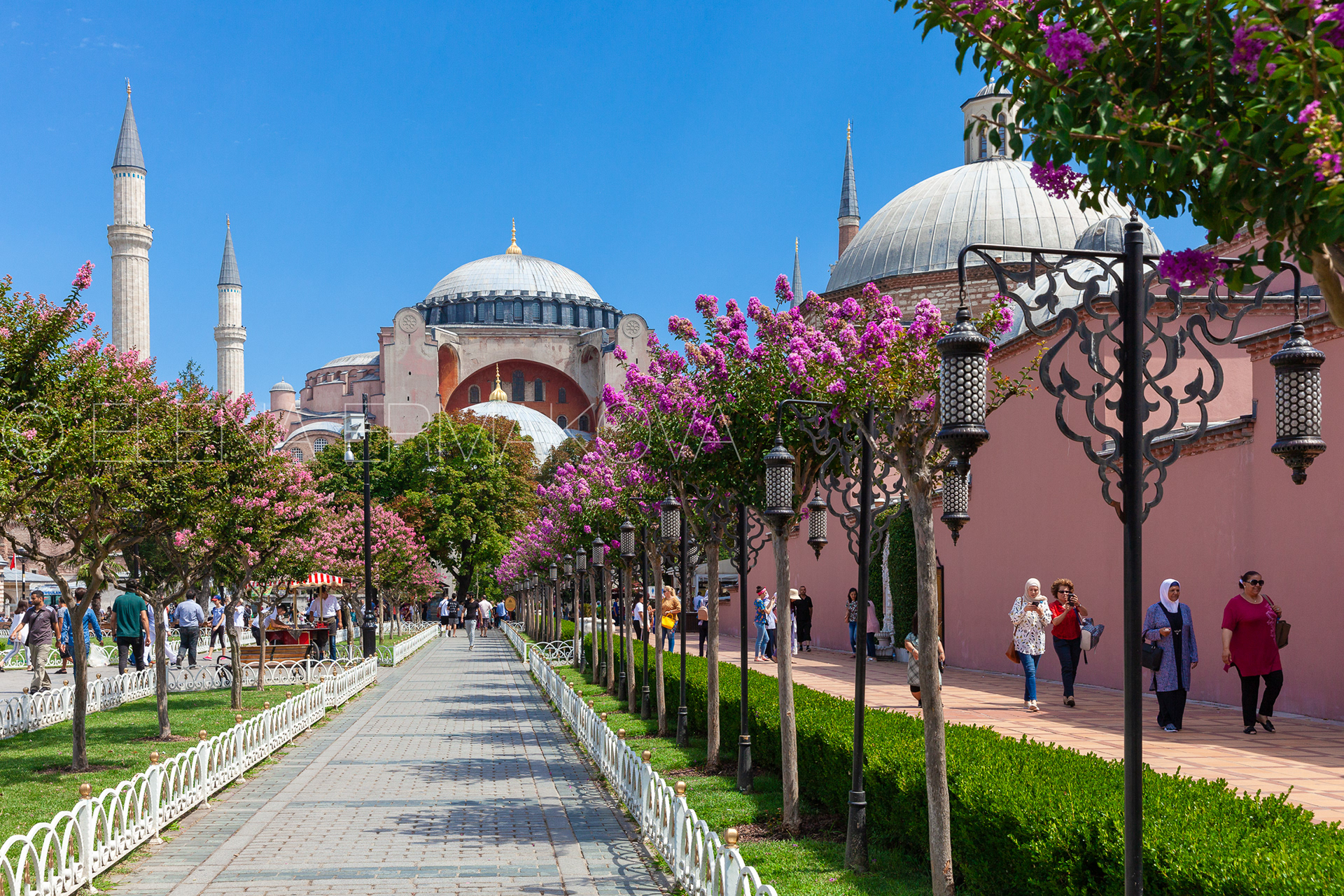 The world's famous Hagia Sophia museum with beautiful flowers in Sultan Ahmet Park, Istanbul, Turkey