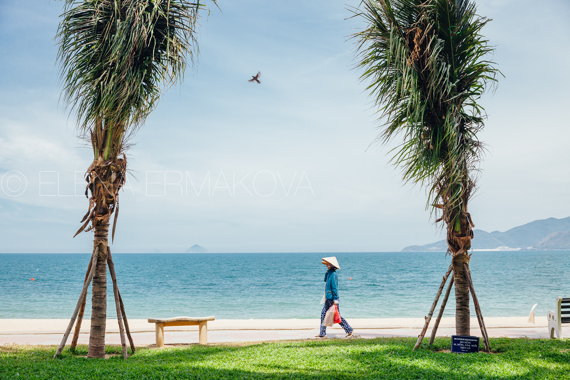 Hard workers on the beach by Elena Ermakova: Beach vendor carries goods for sale along the promenade, September 02, 2018, Nha Trang, Vietnam