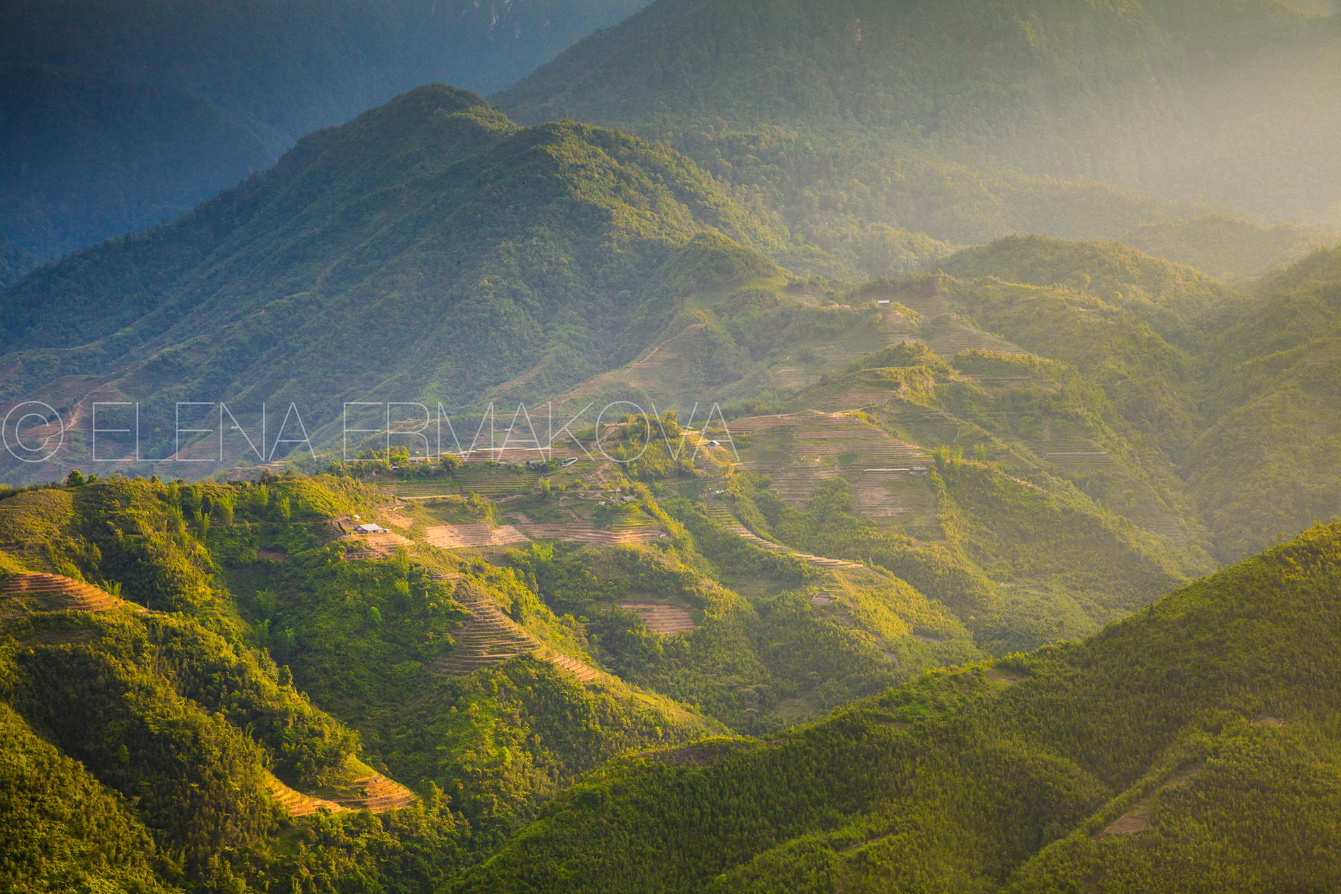 Rice terraces in Sapa, Lao Cai, Vietnam