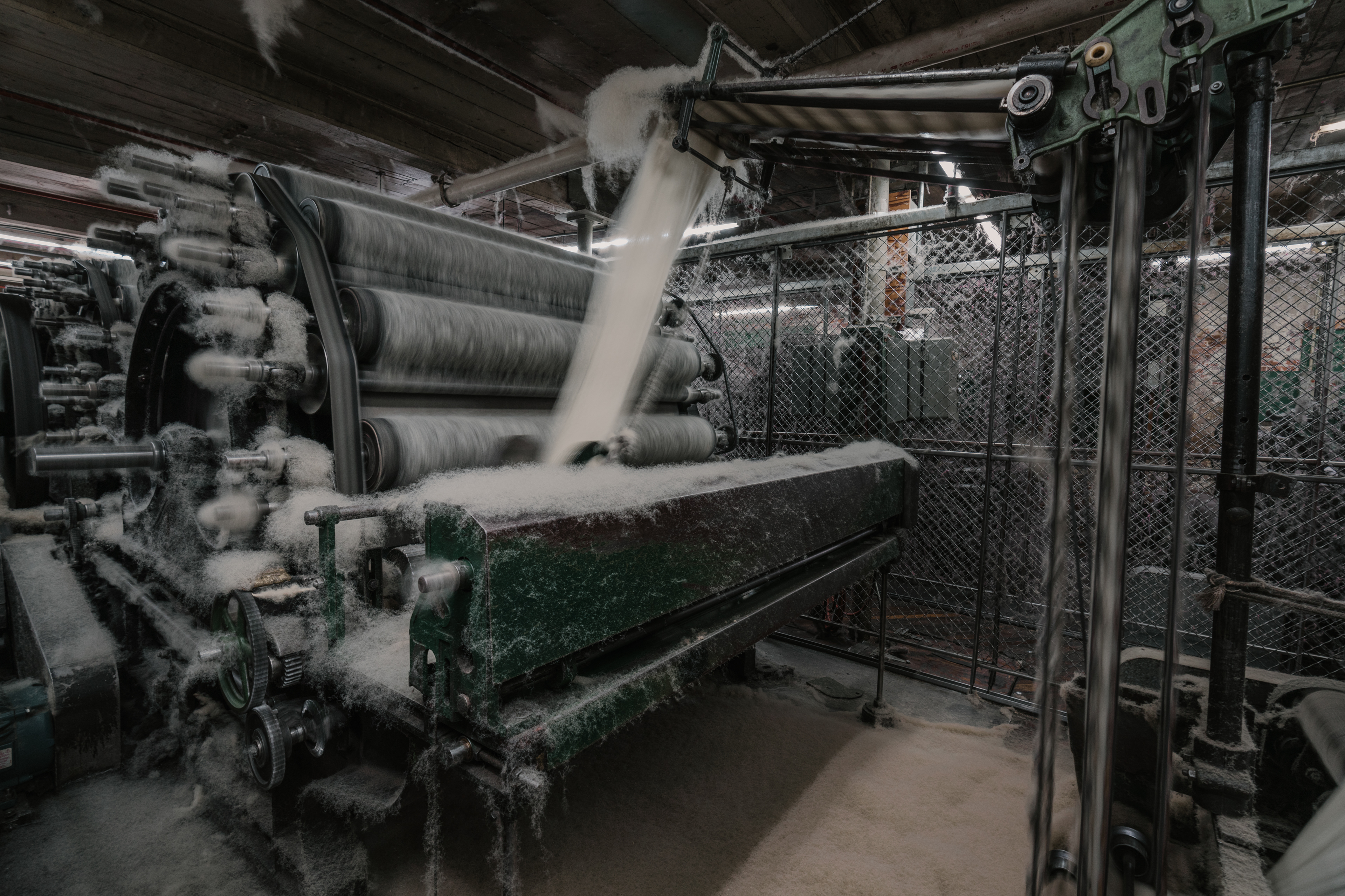 Watching wool ...