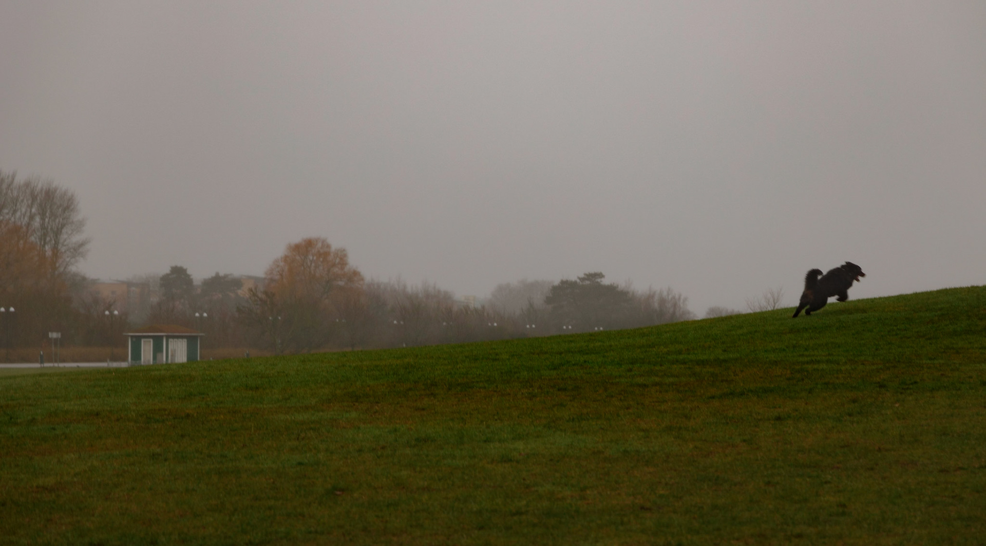 Hundfältet, Ribersborgsstranden. Detta paradis för hundar där de på 10 ha kan springa fritt mellan Västra Hamnen och Kallbadhuset utan att matte och husse behöver vara oroliga för att något händer. Här älskar hundar att springa och leka med andra  hundar. Fältet går ner till vattnet där hundar kan bada. Under vinterhalvåret är hela Ribersborgsstranden tillgänglig för hundarna.