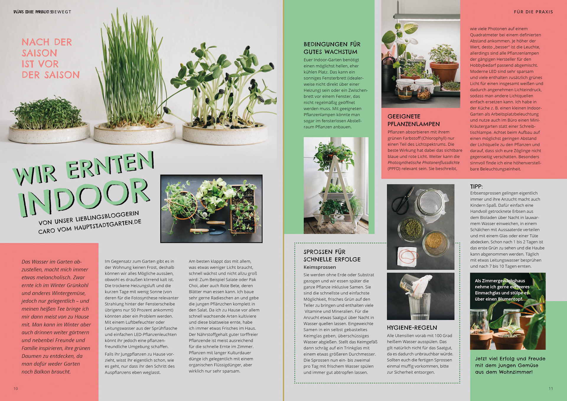 ImBlick, Deutsche Schreberjugend e. V. 