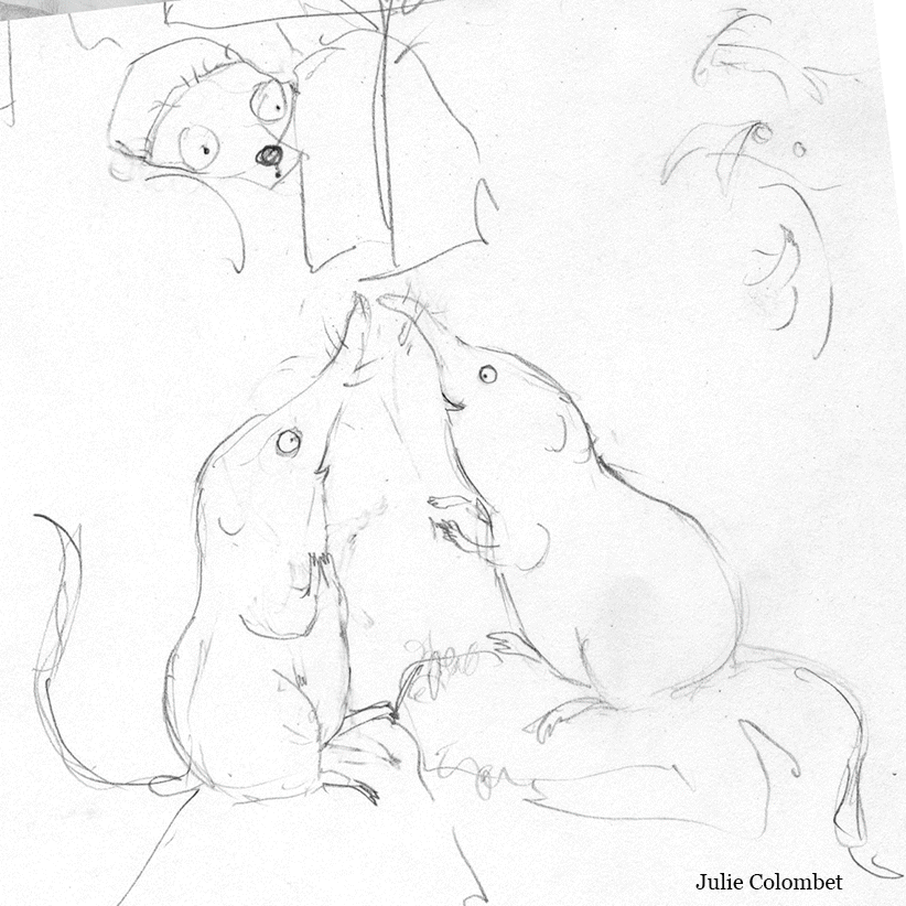 illustration extraite de l'album "Un ours of course !"