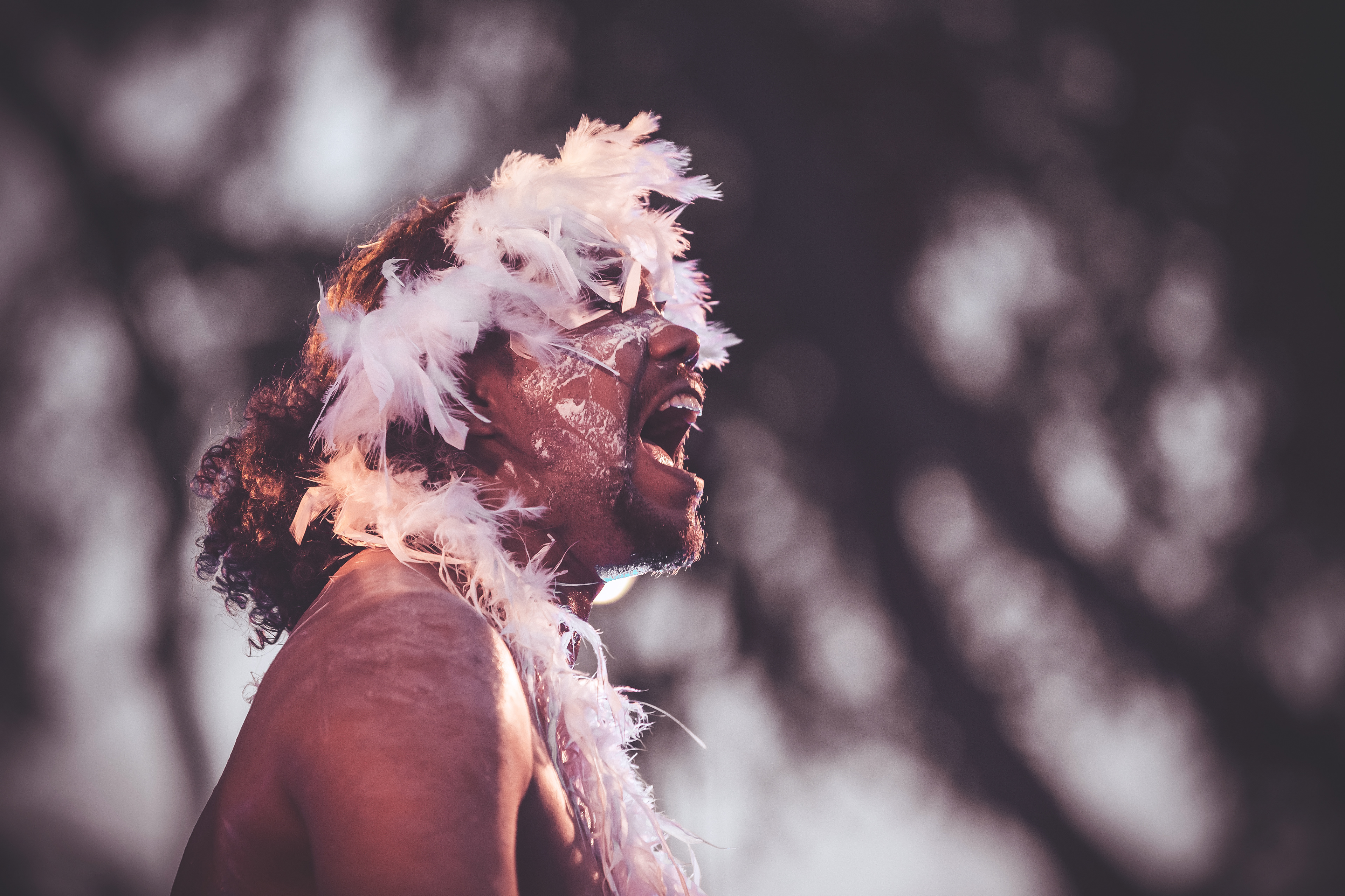 Le rêve de l'Aborigène