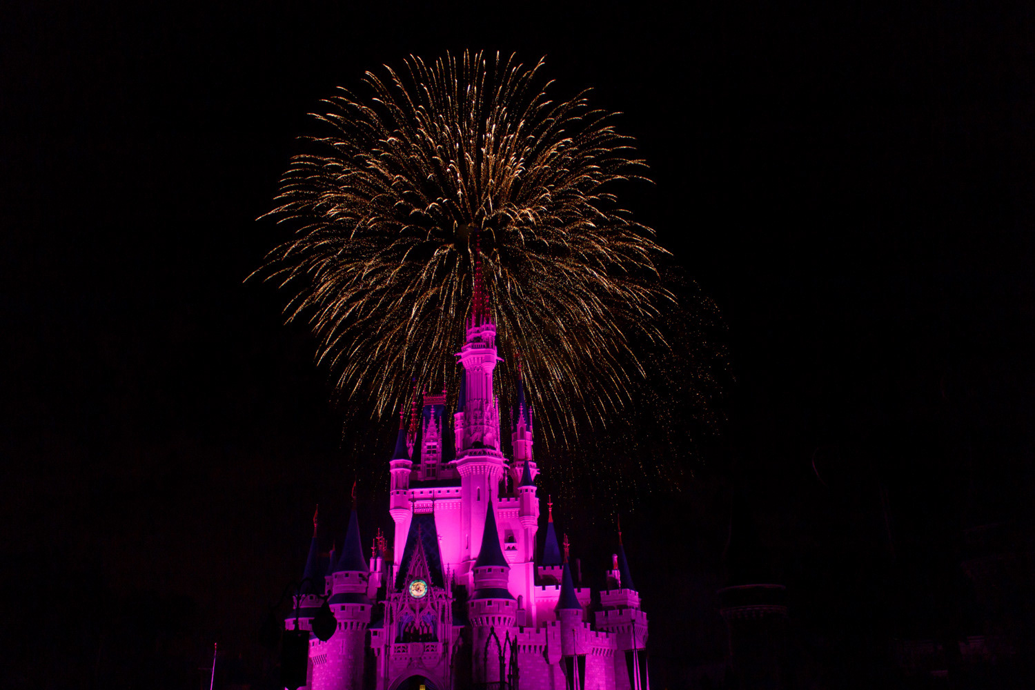 Disney World - Magic Kingdom