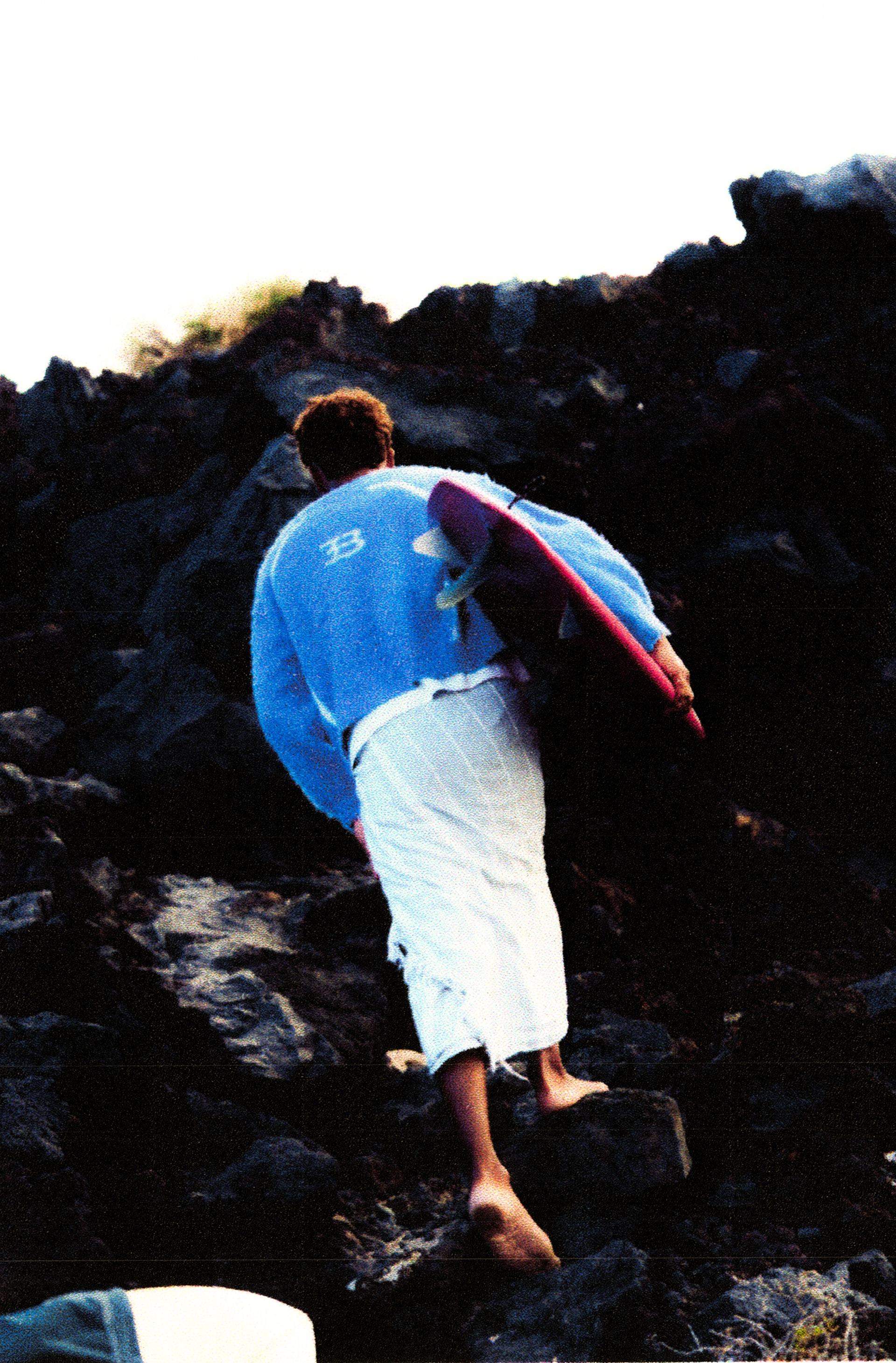 BOGART GO HOME CAMPAIGN