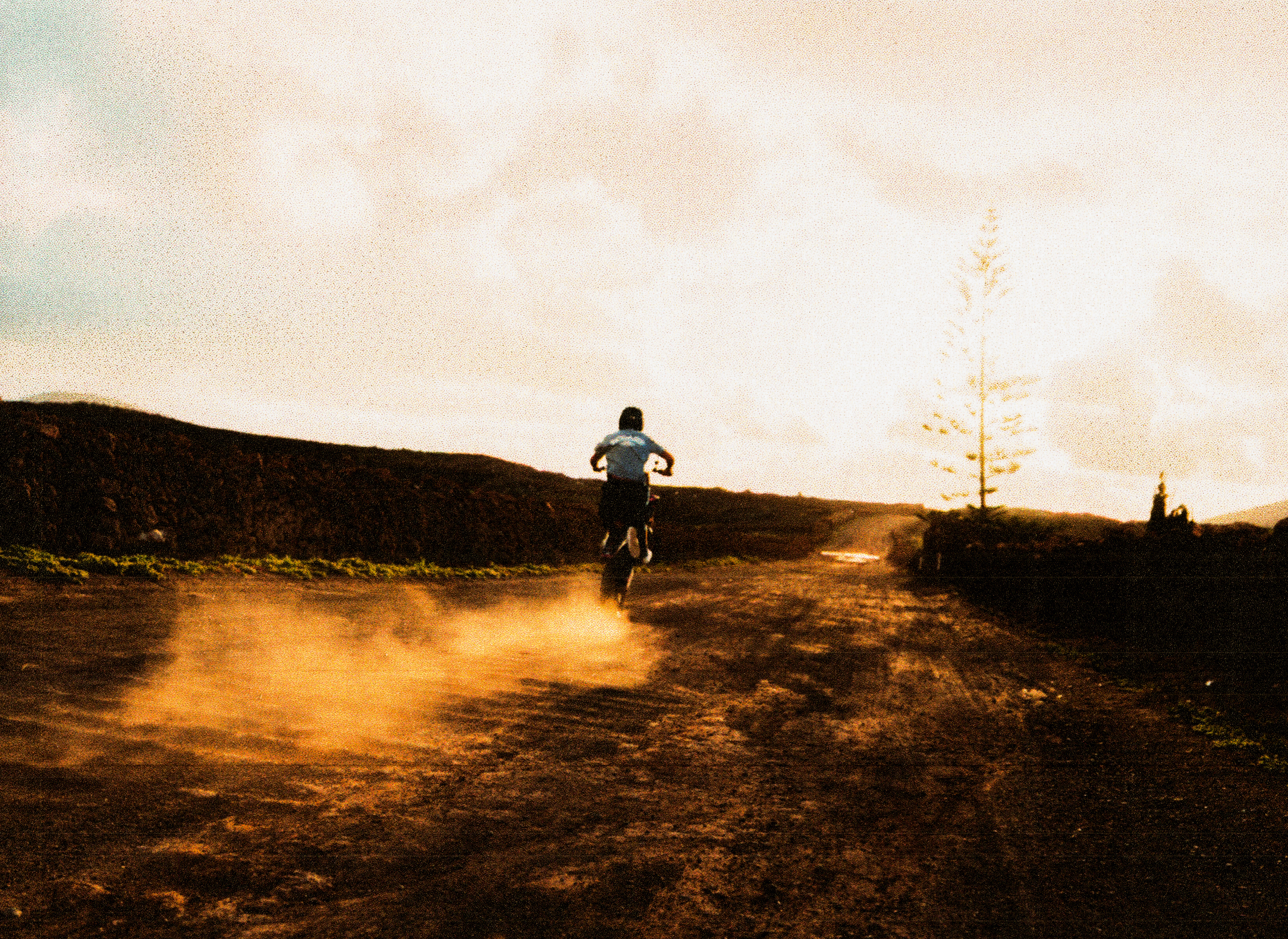 BOGART GO HOME CAMPAIGN