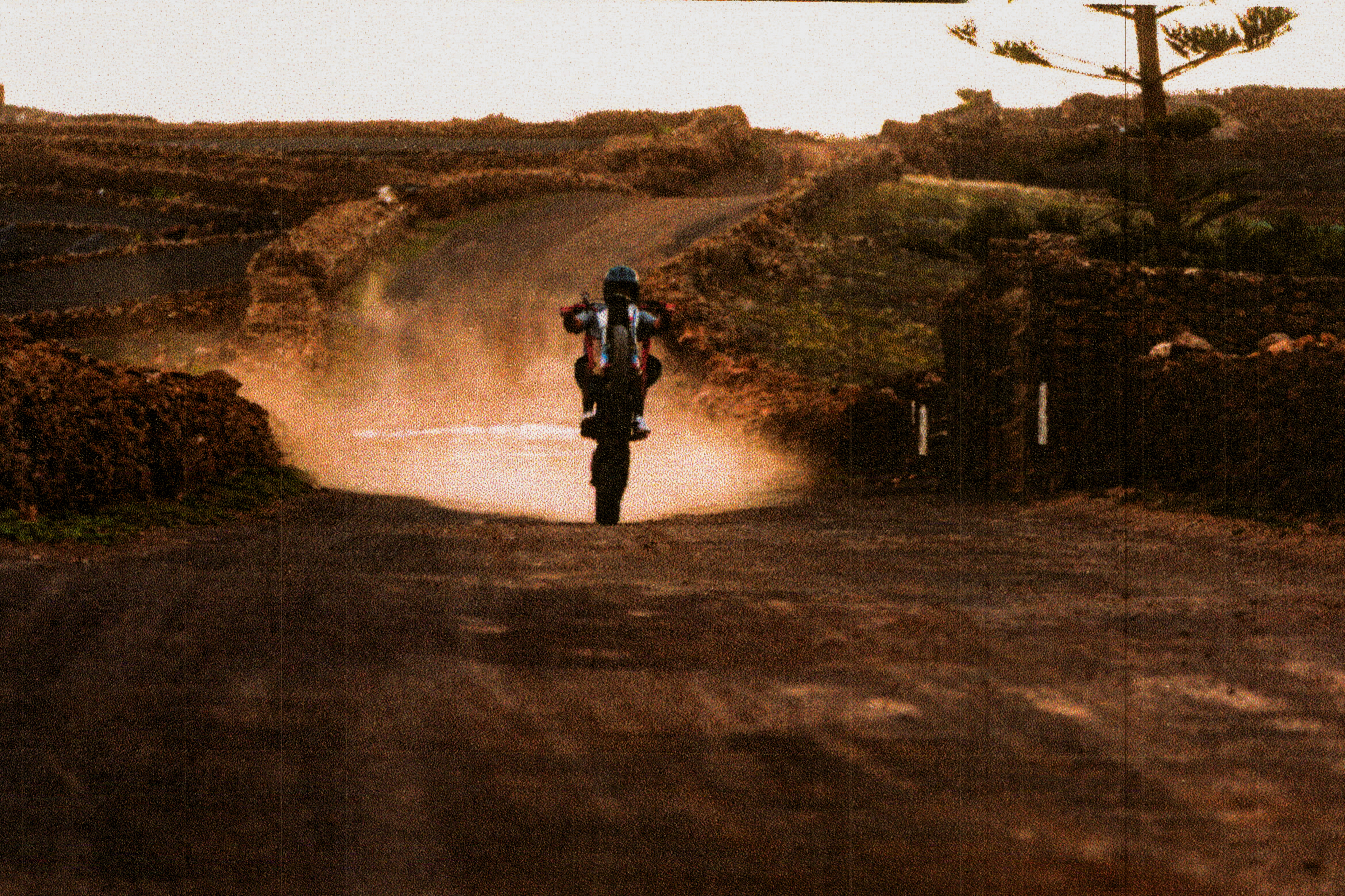 BOGART GO HOME CAMPAIGN