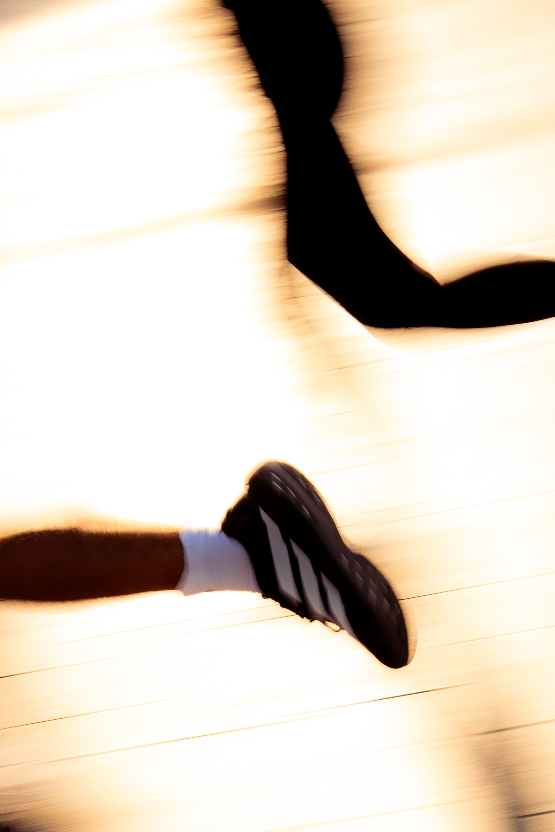 ADIDAS EVO SL - BARCELONA