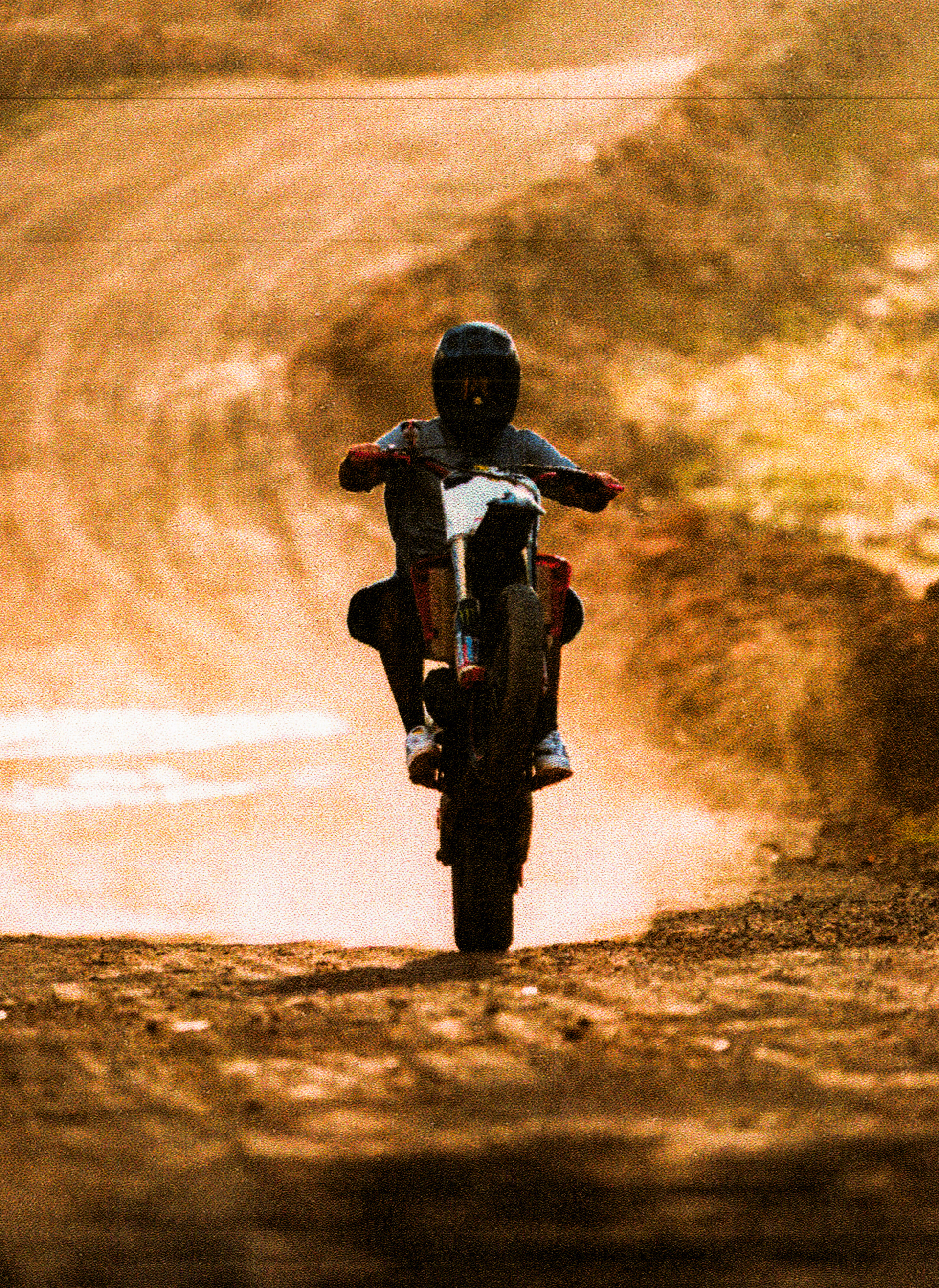 BOGART GO HOME CAMPAIGN