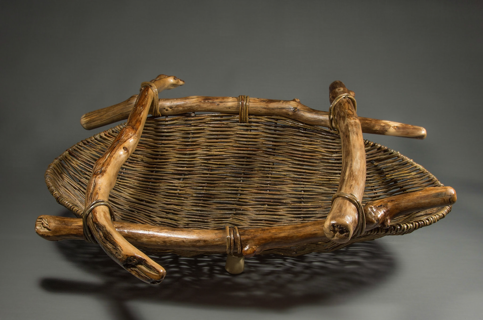 willow with driftwood