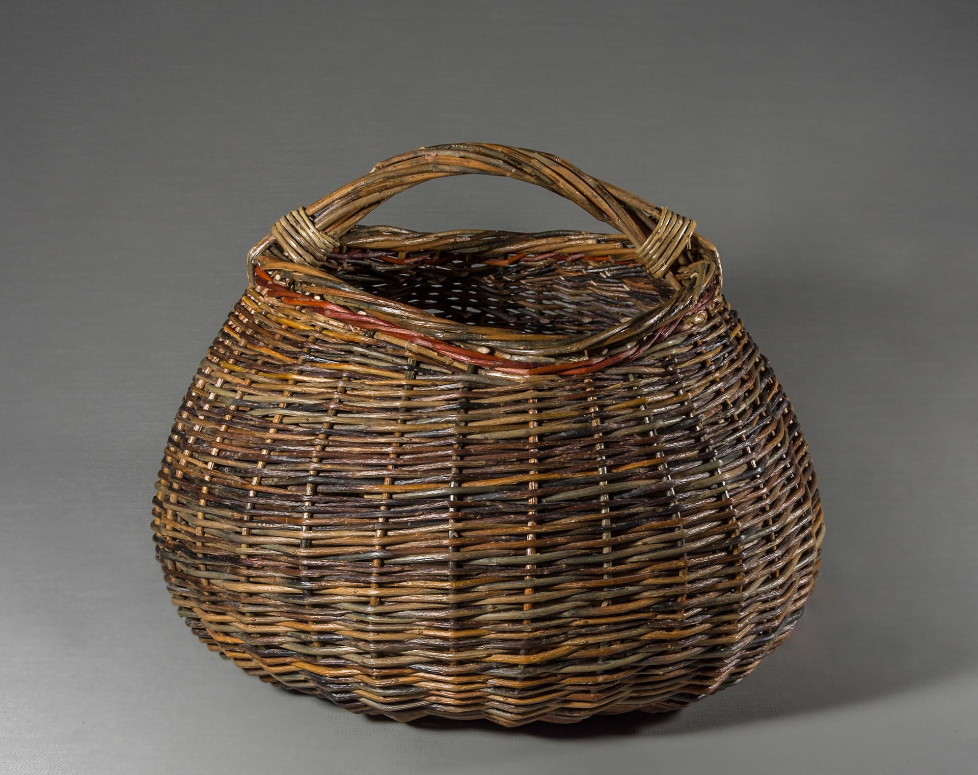 sculptural willow with red osier