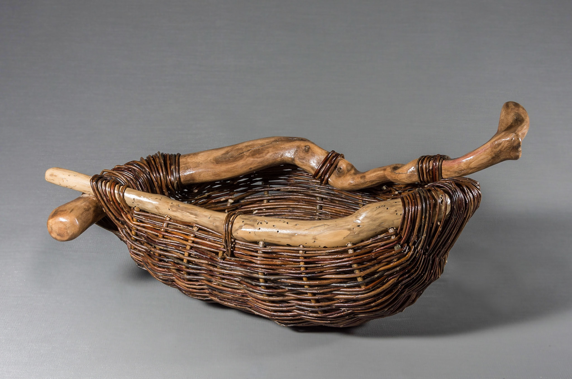 willow with driftwood