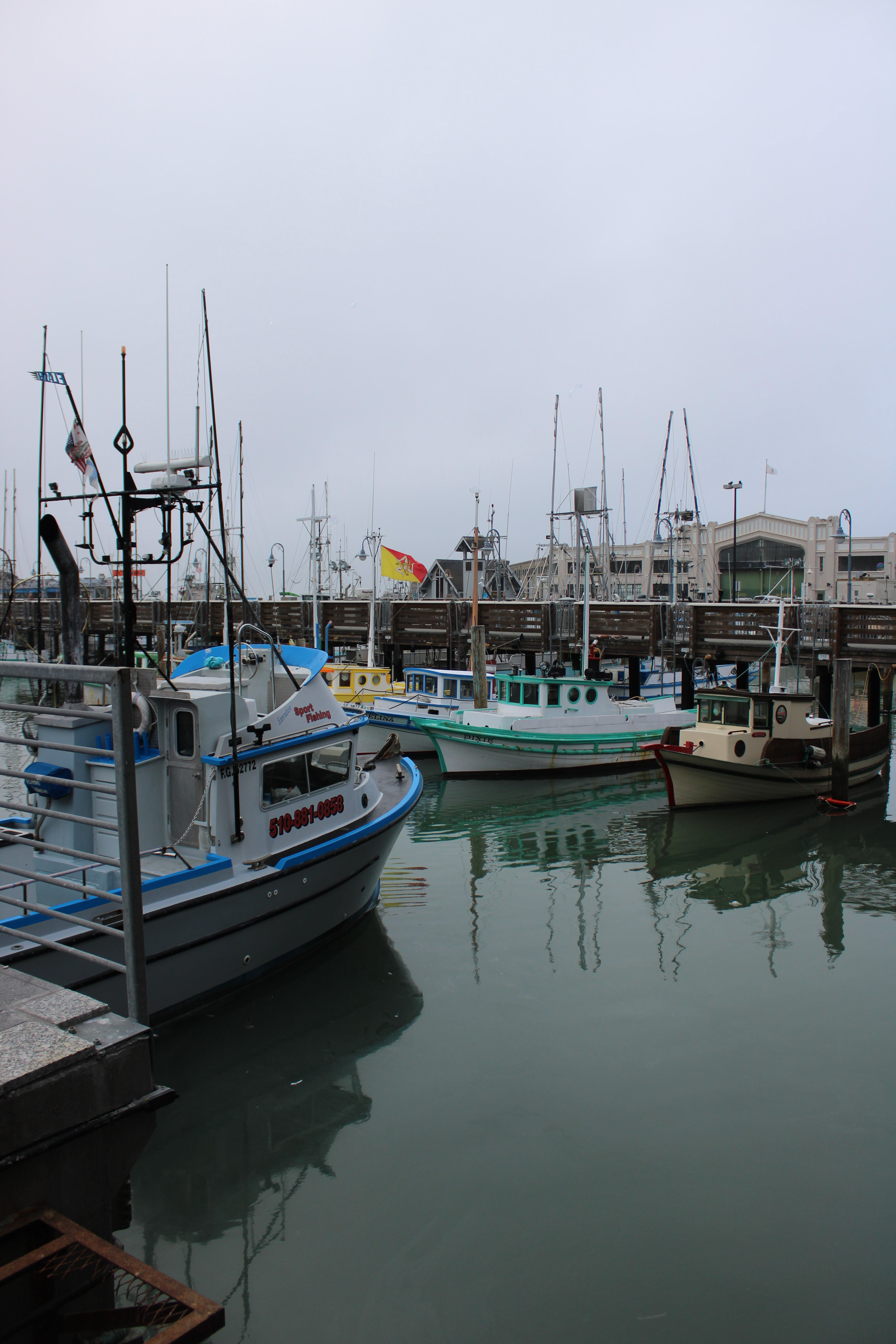 San Francisco August 2024