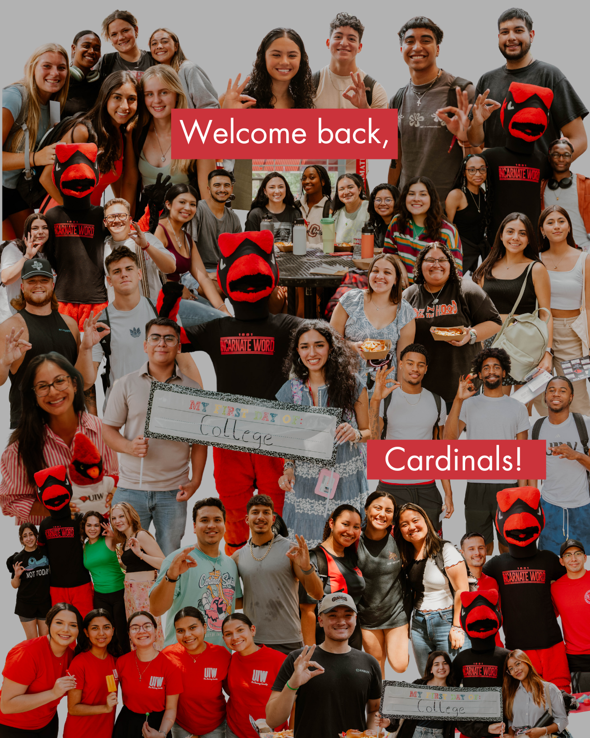 University of the Incarnate Word