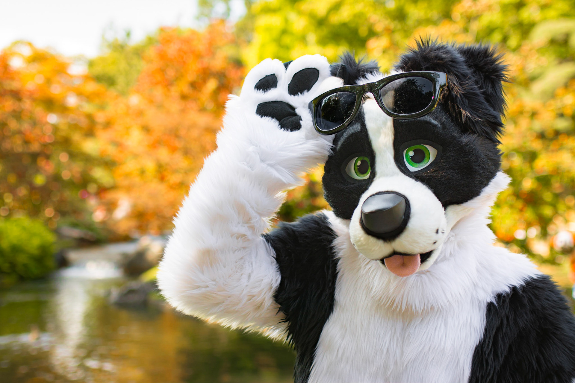 Hello, I'm Dice!