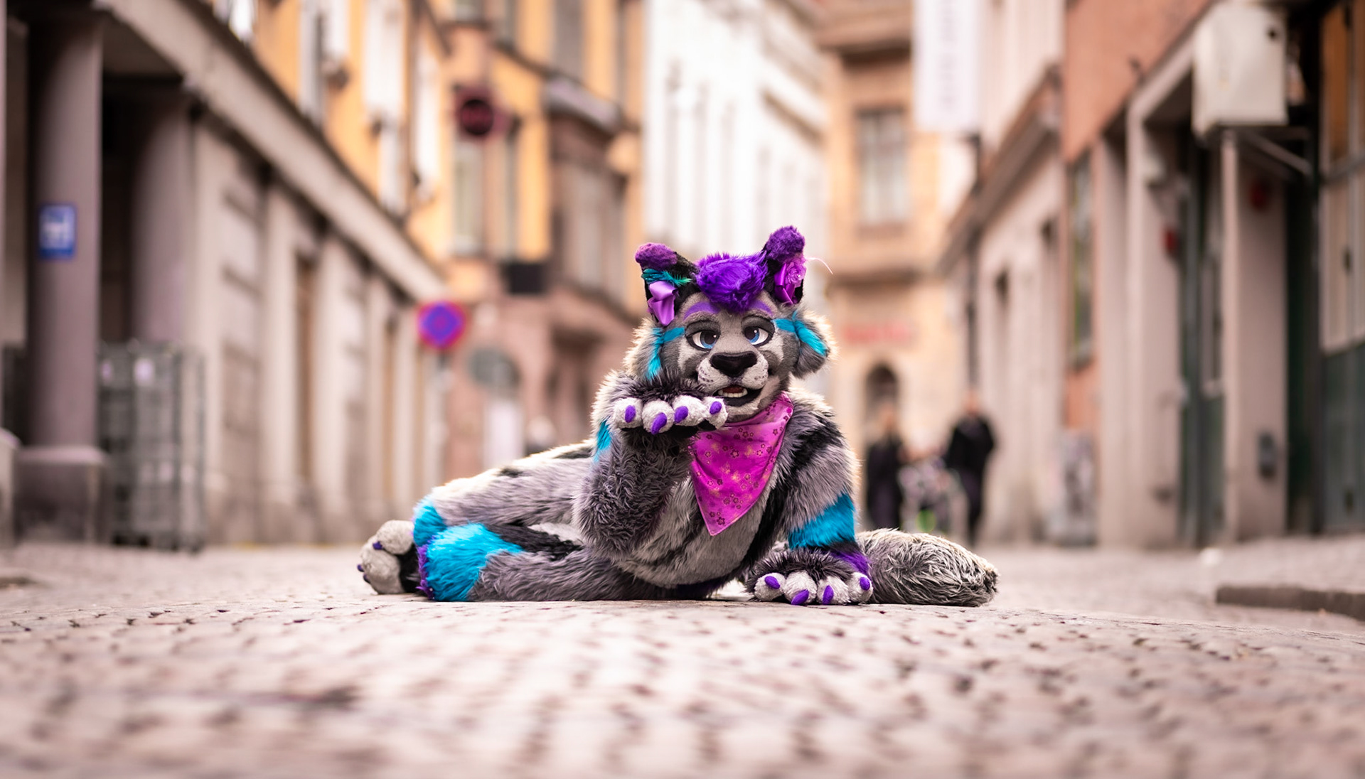 Cat of the Streets