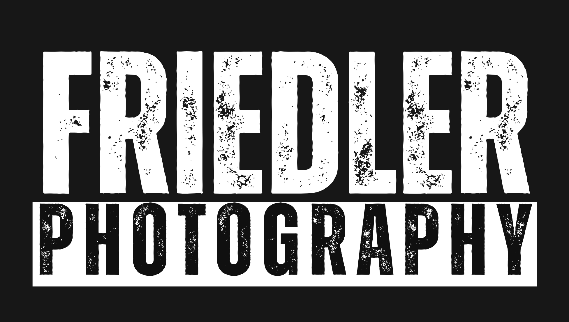 Friedler Photography