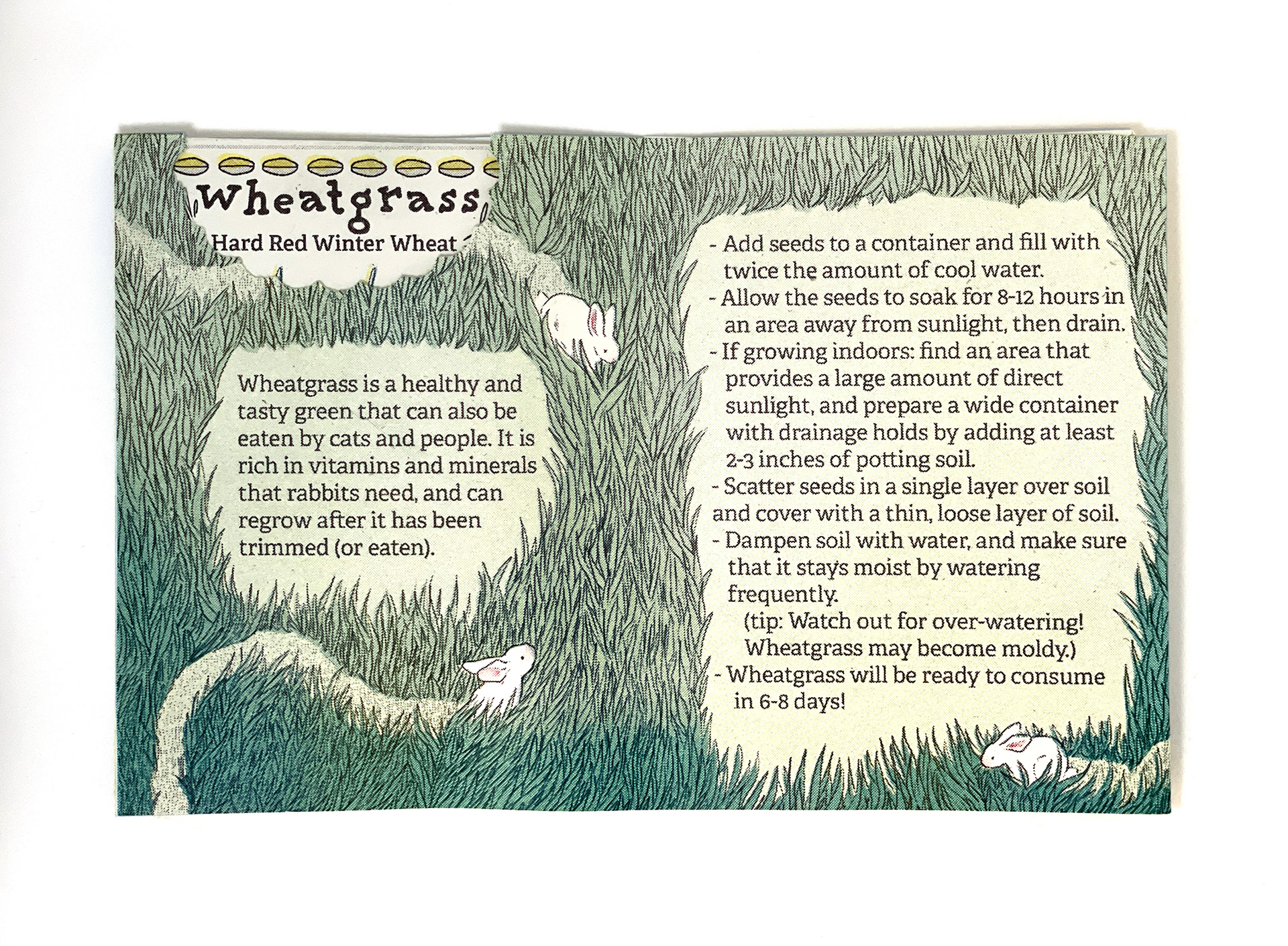 pages 3-4