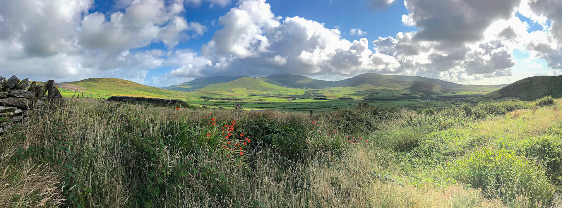 Field Near Gallarus Oratory, Dingle