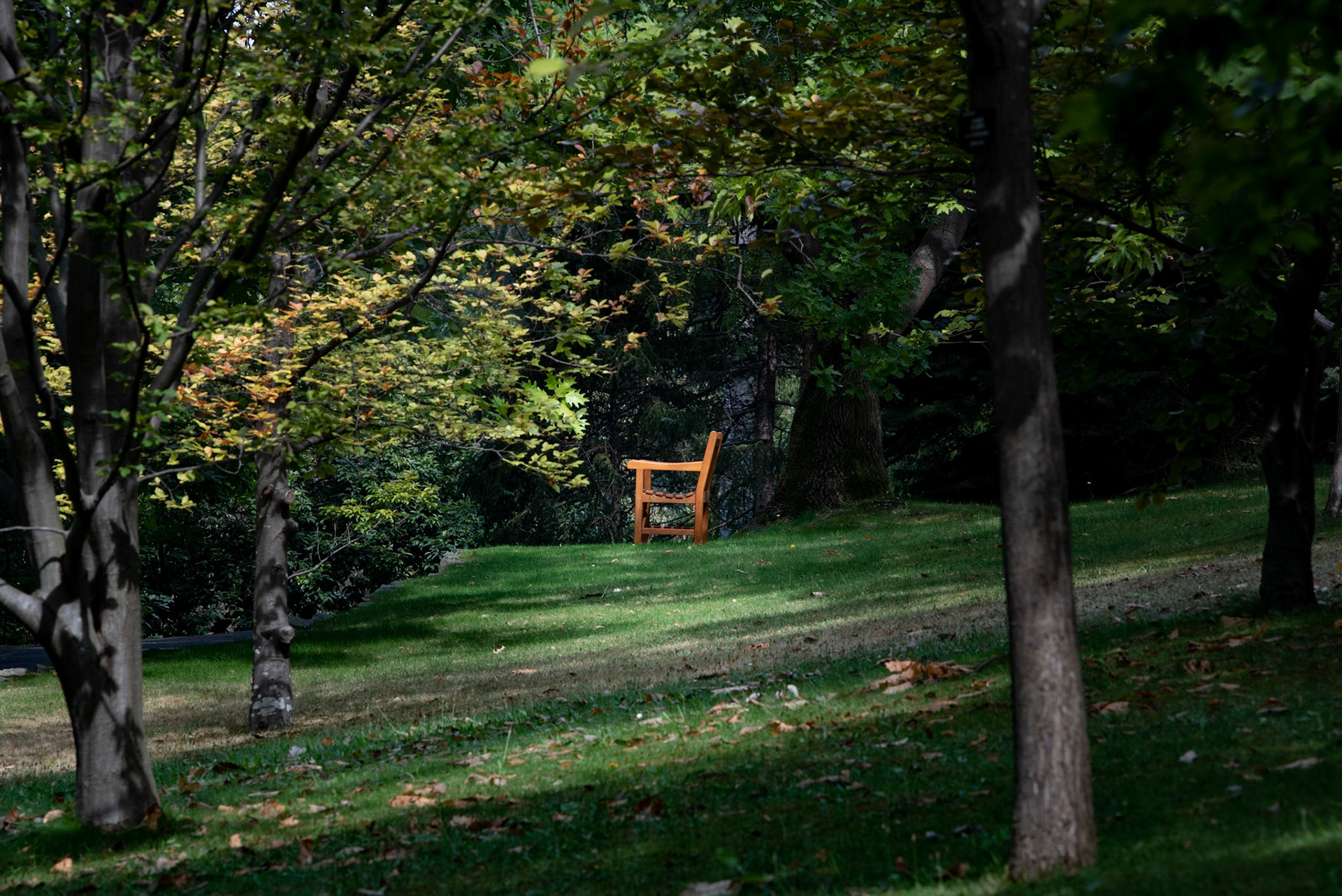 Queen Victoria Gardens, Melbourne (AU)