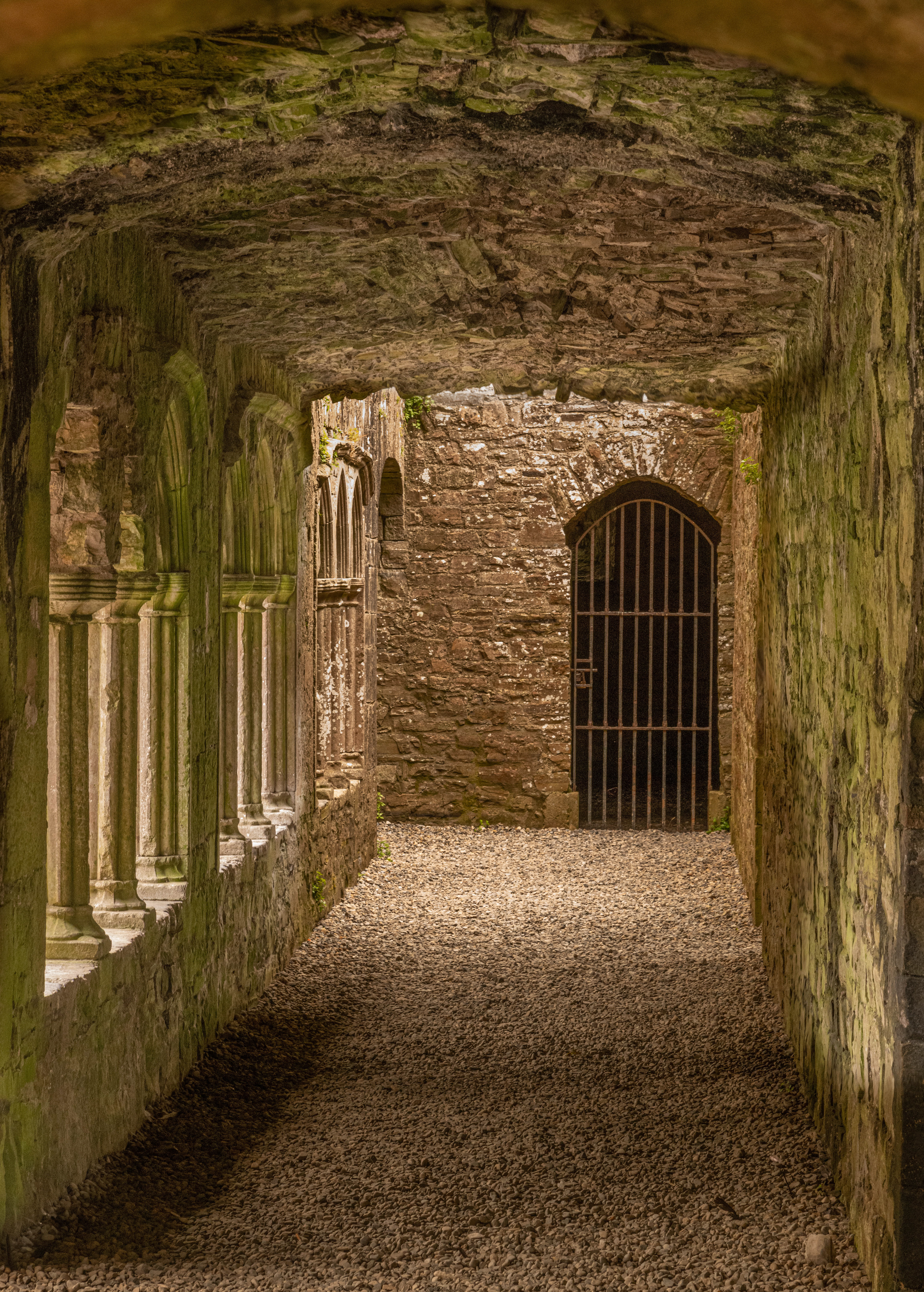 Bective Abbey