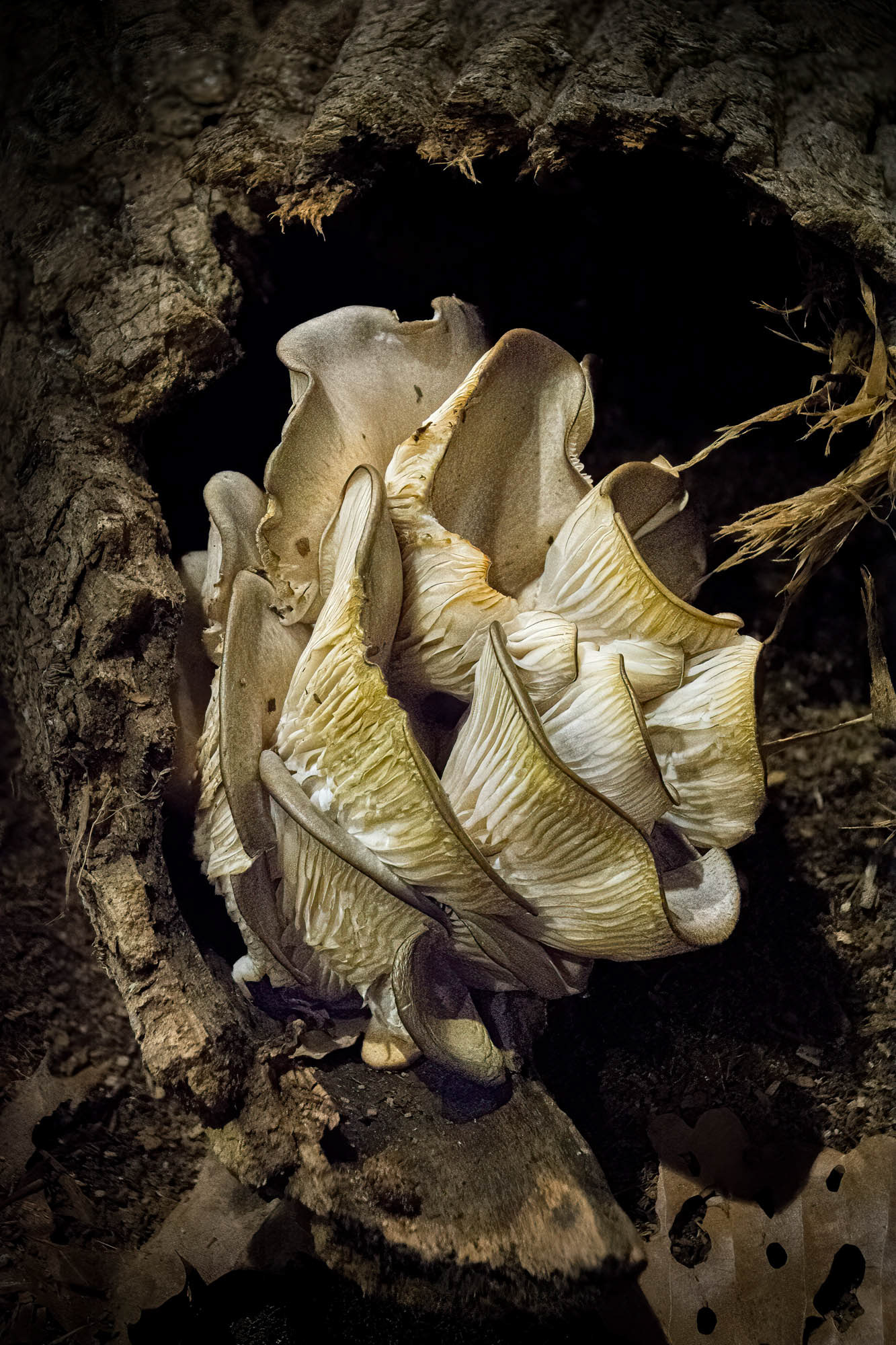 Churchville Nature Center Pennsylvania