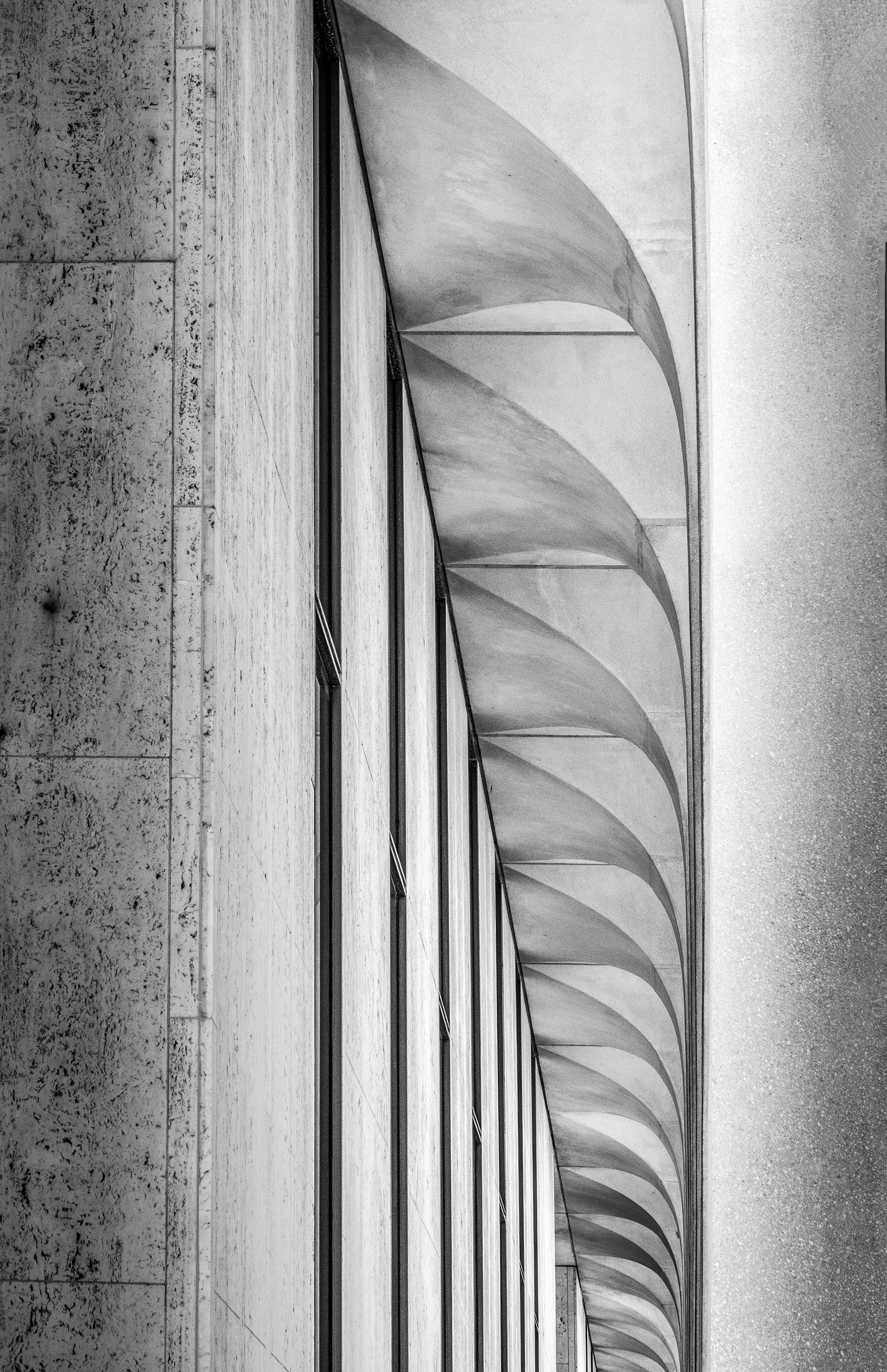 Princeton University