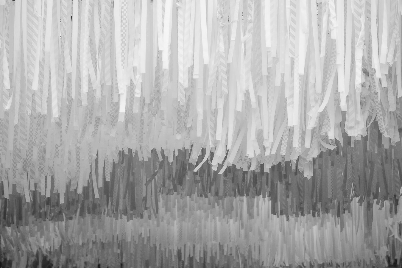 Layered Fringe