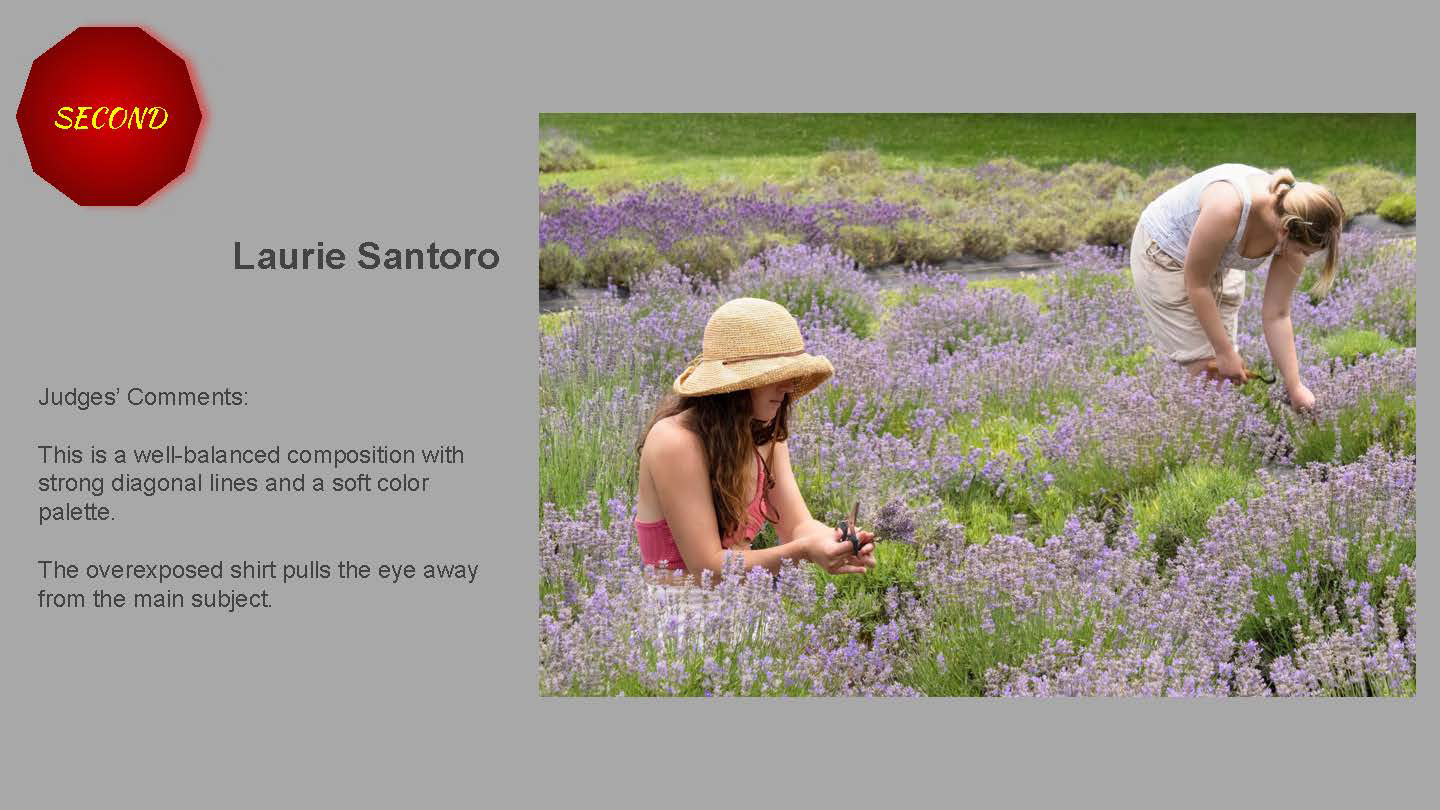 2nd Place- Philadelphia Flower Show