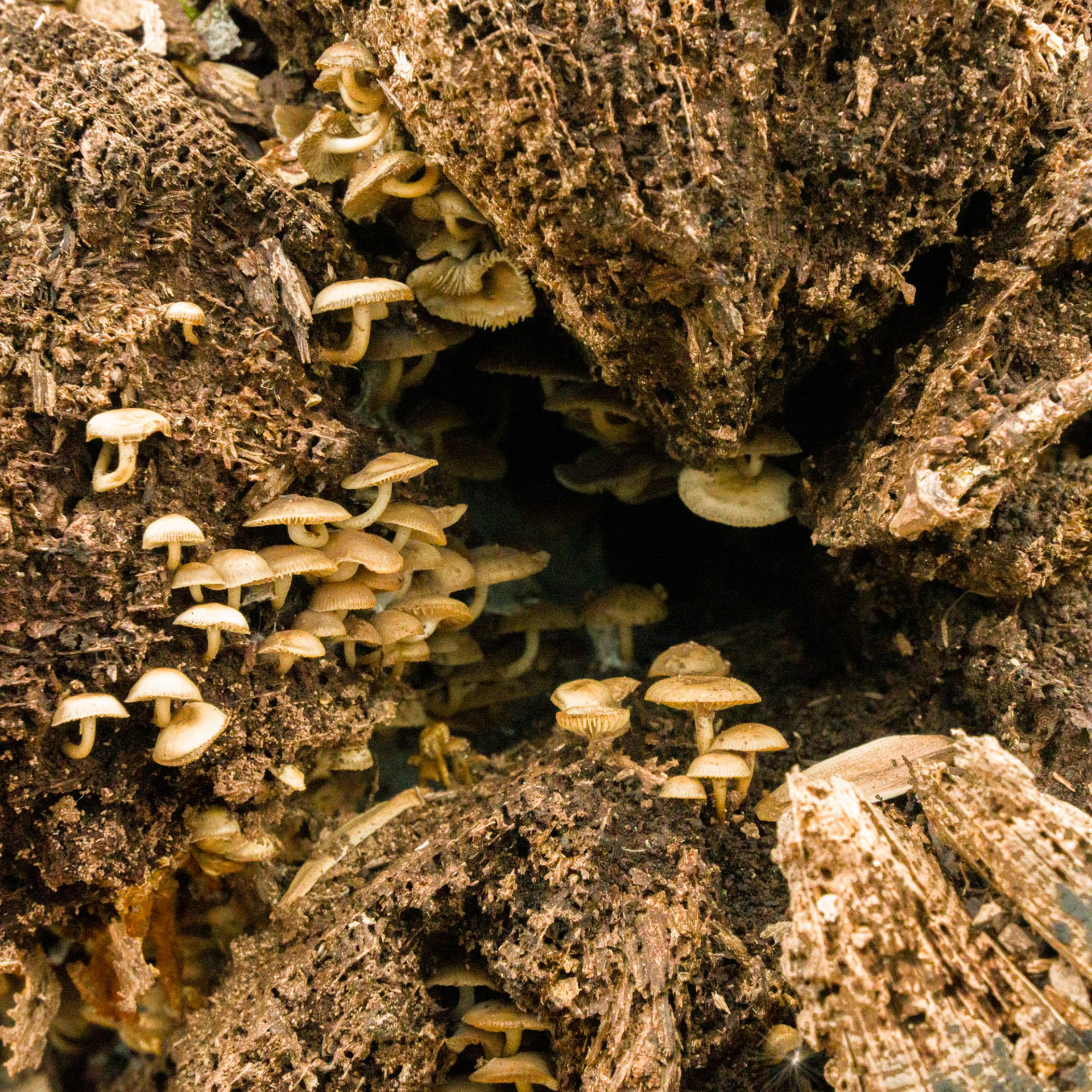 Churchville Nature Center Pennsylvania