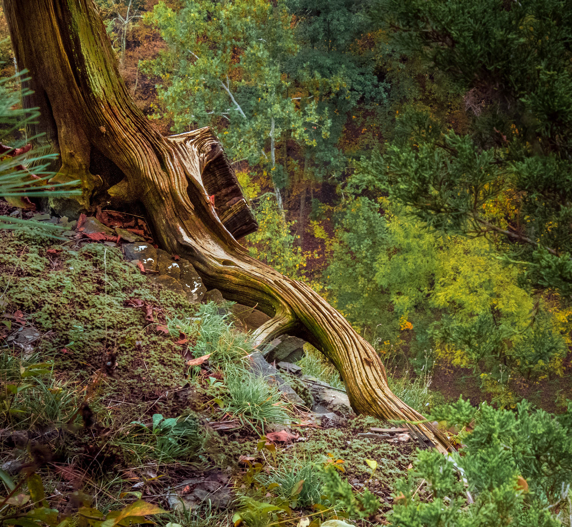Watkins Glen Park New York