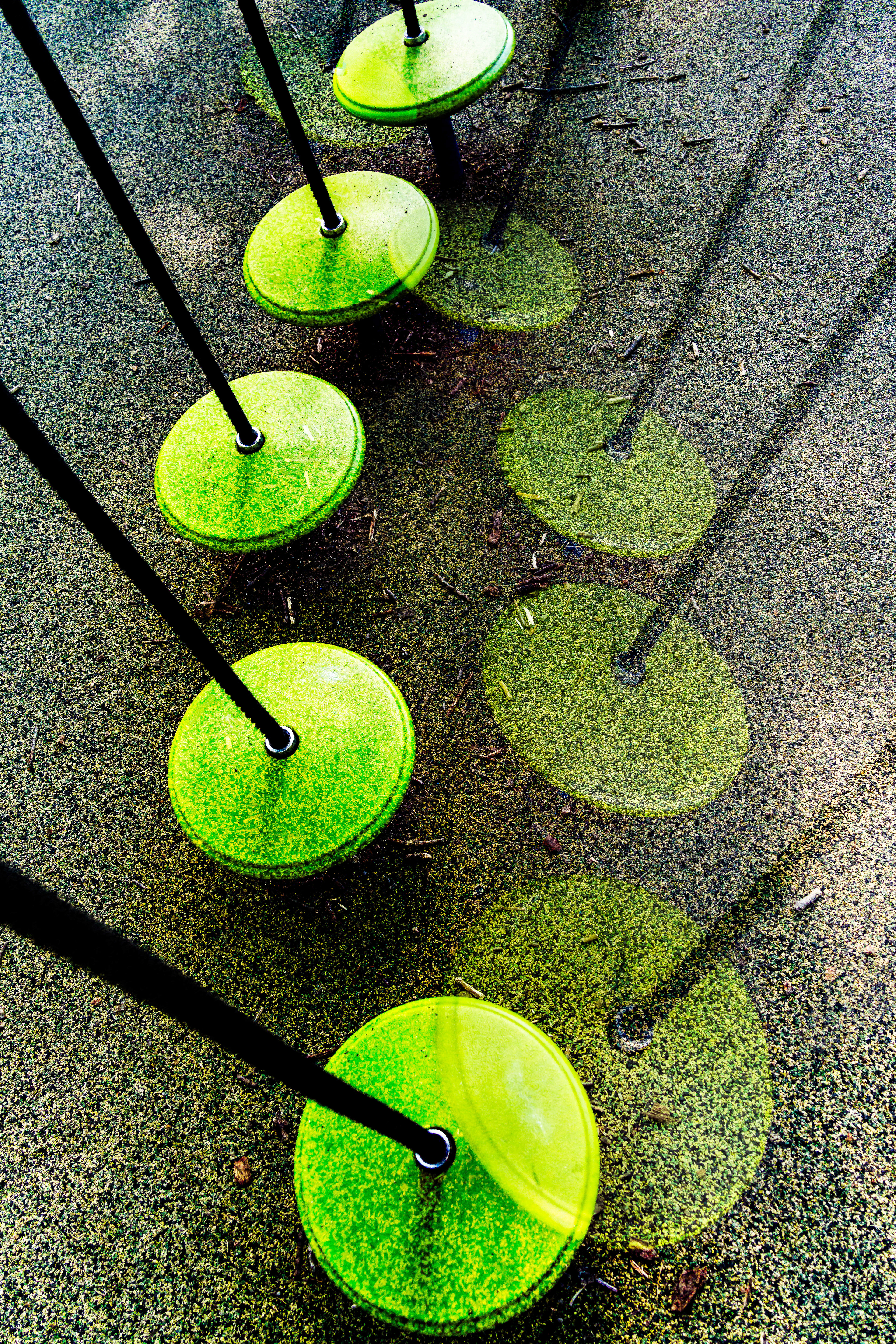 1st Place-at the playground