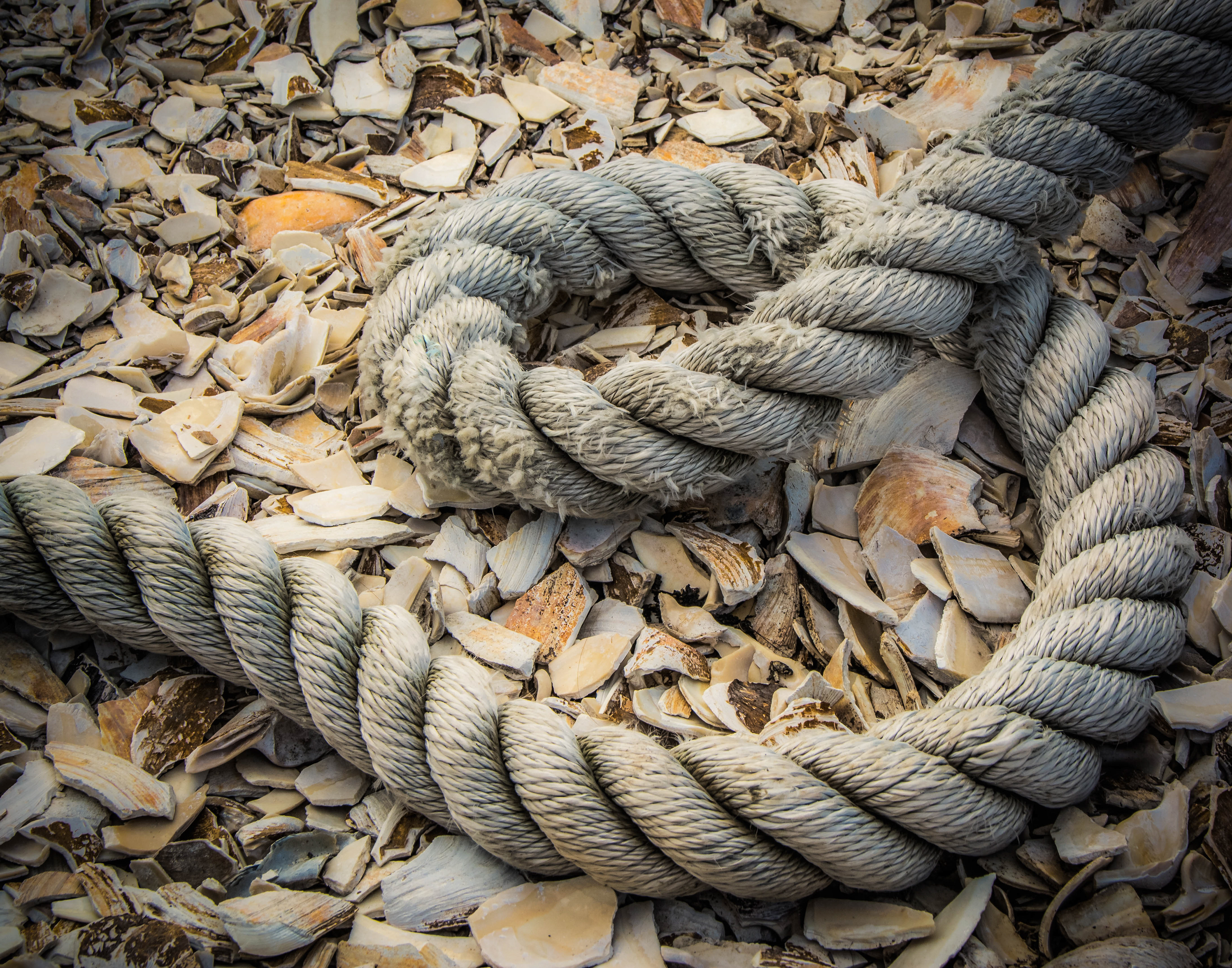 Lets Rope it up
