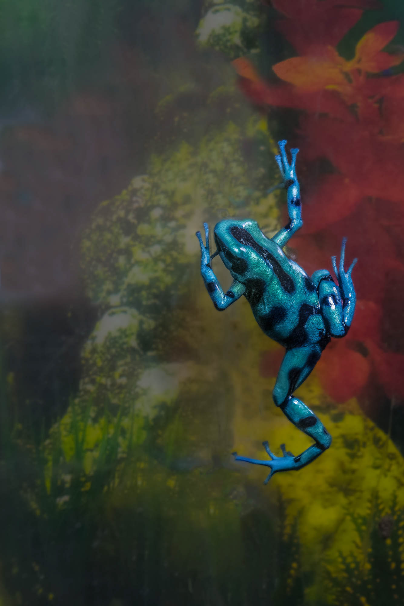 Philadelphia zoo