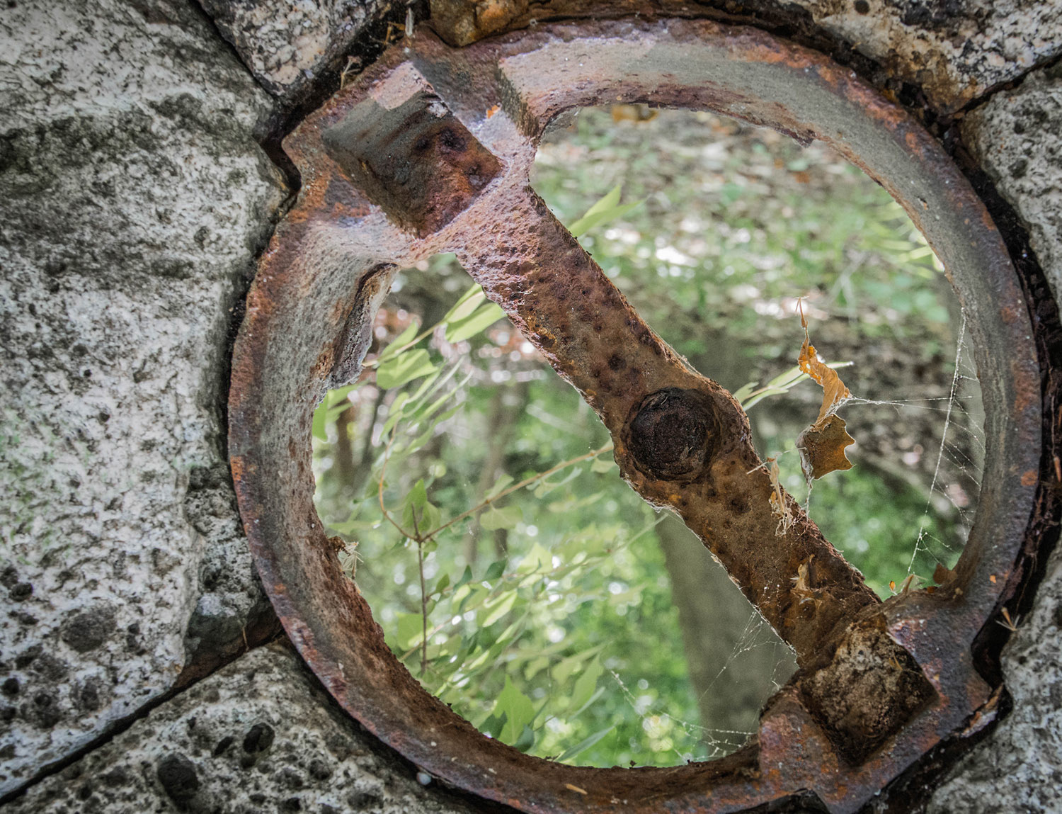 Cobb Web