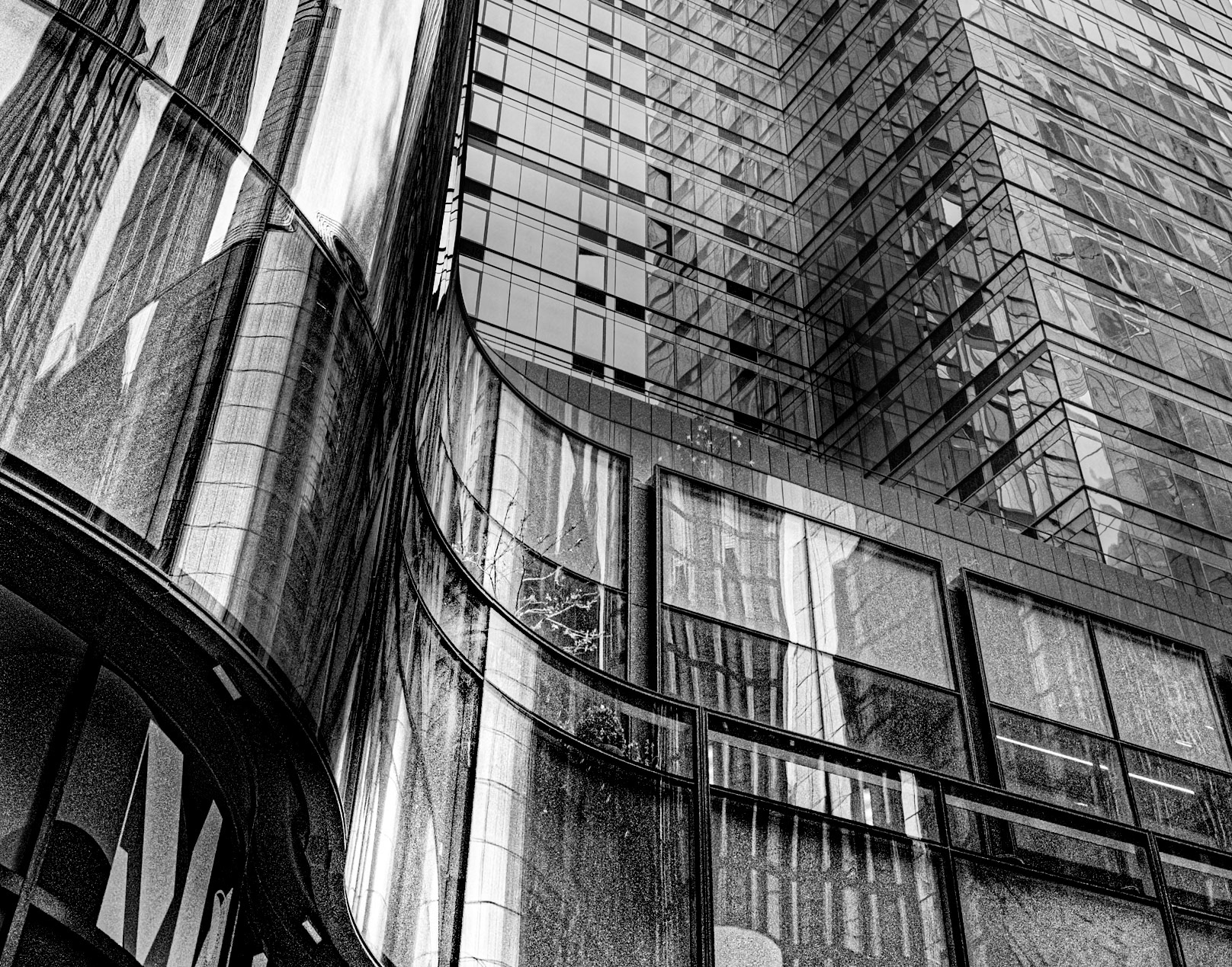 New York City Hi line, NY