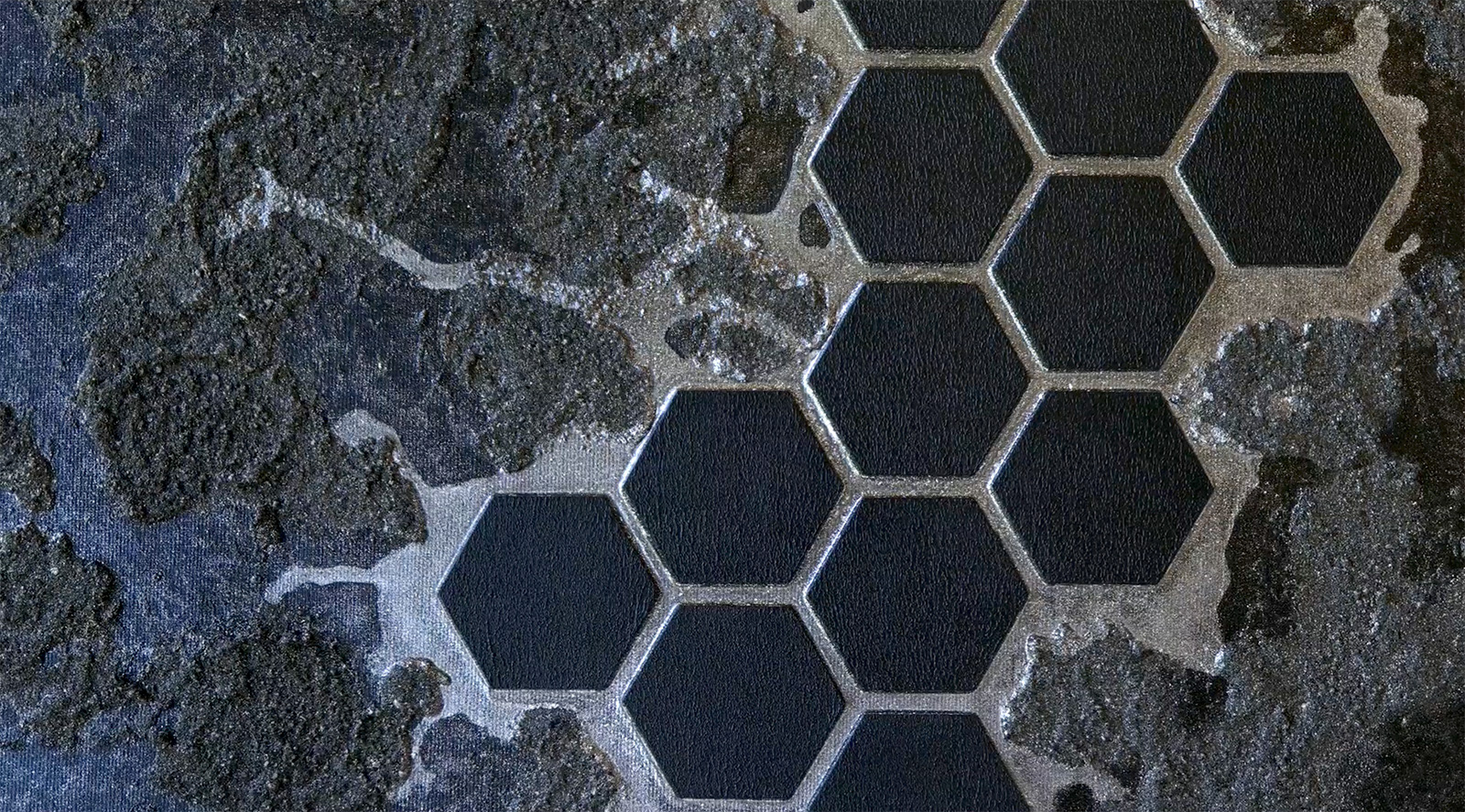 Image vidéo Signum · Art