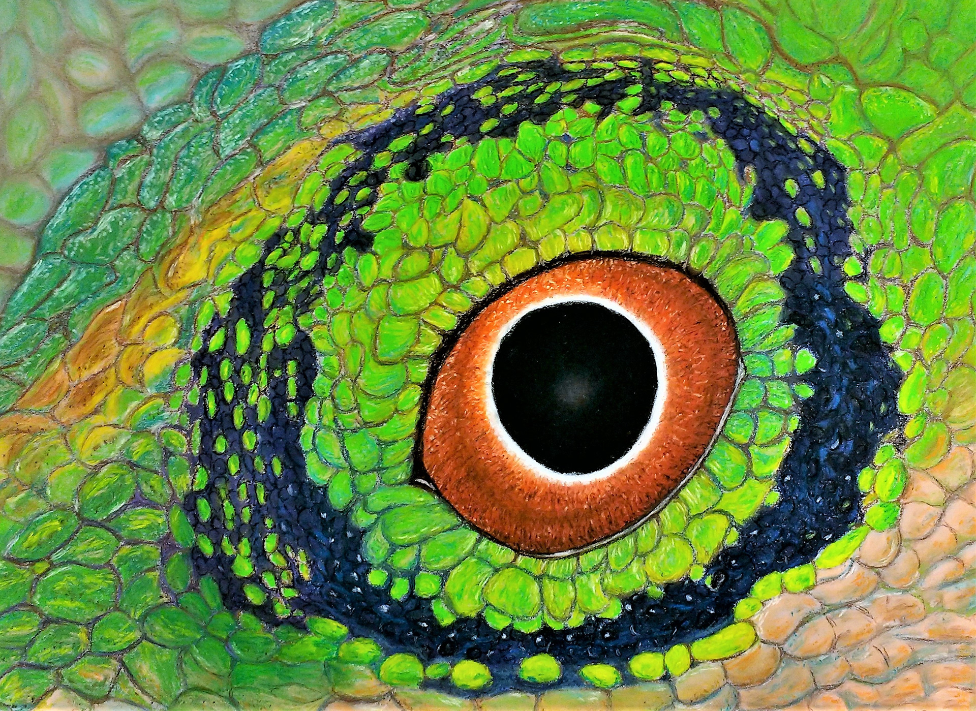 "Lizard Eye" 28"w x 20"H, pastel