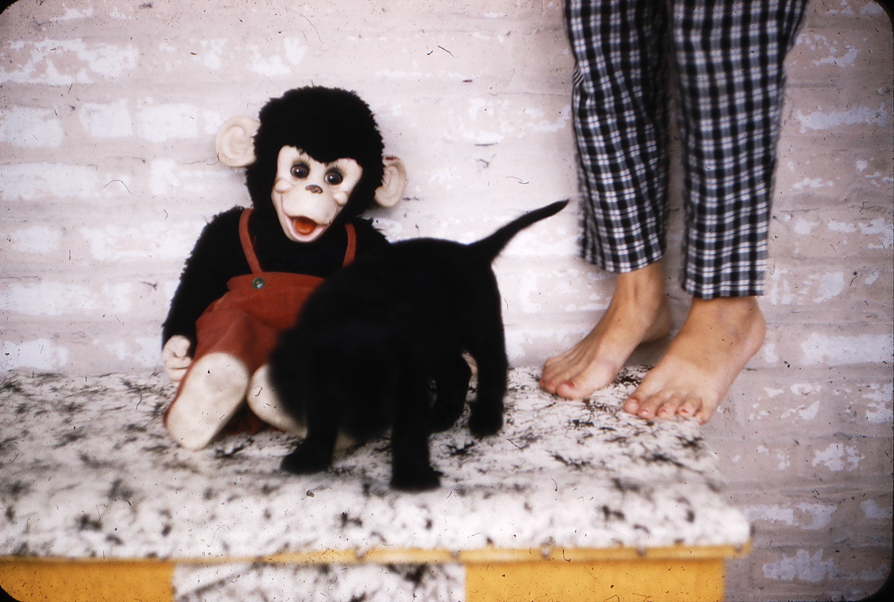 zoo 1958