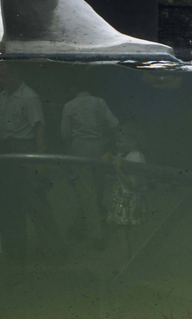 zoo 1958 Susan