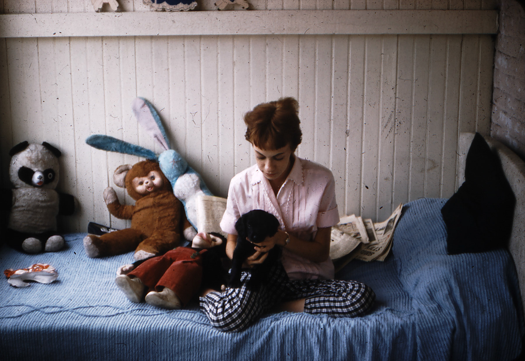 zoo 1958