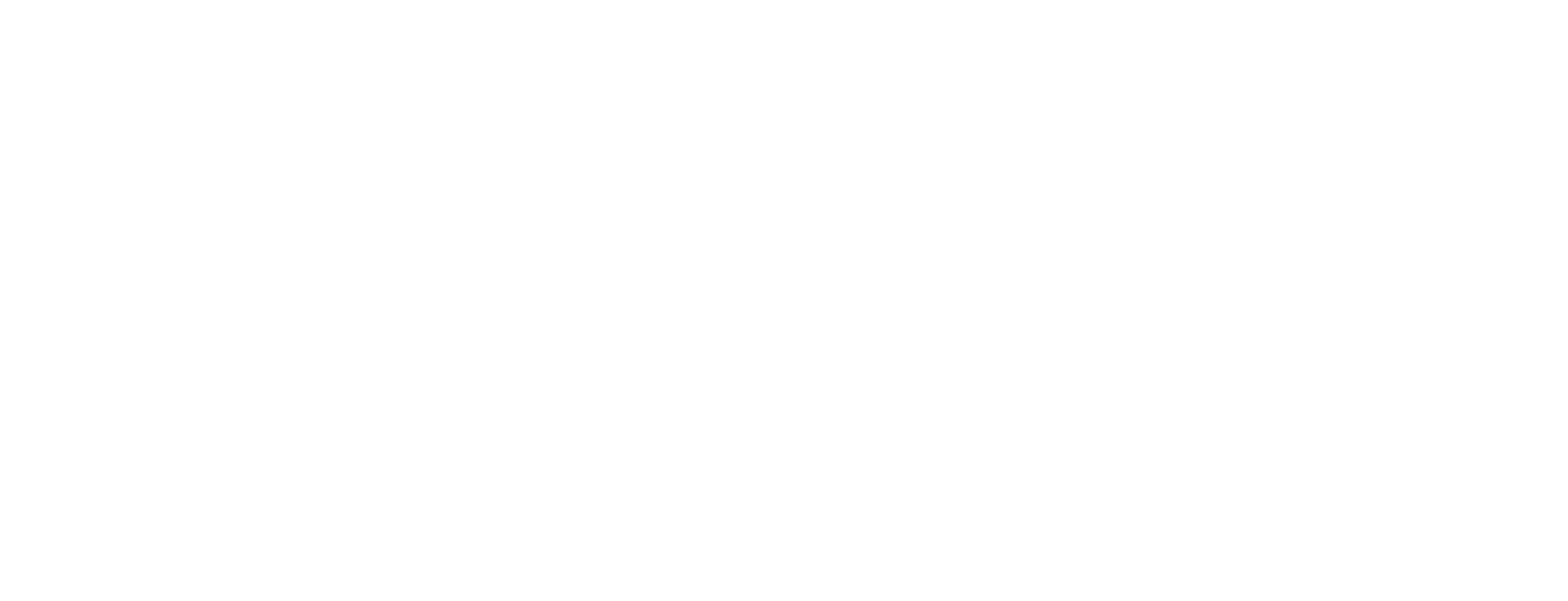 Double Z Design logo - thin line above the word double and a thin line below with the word design beneath